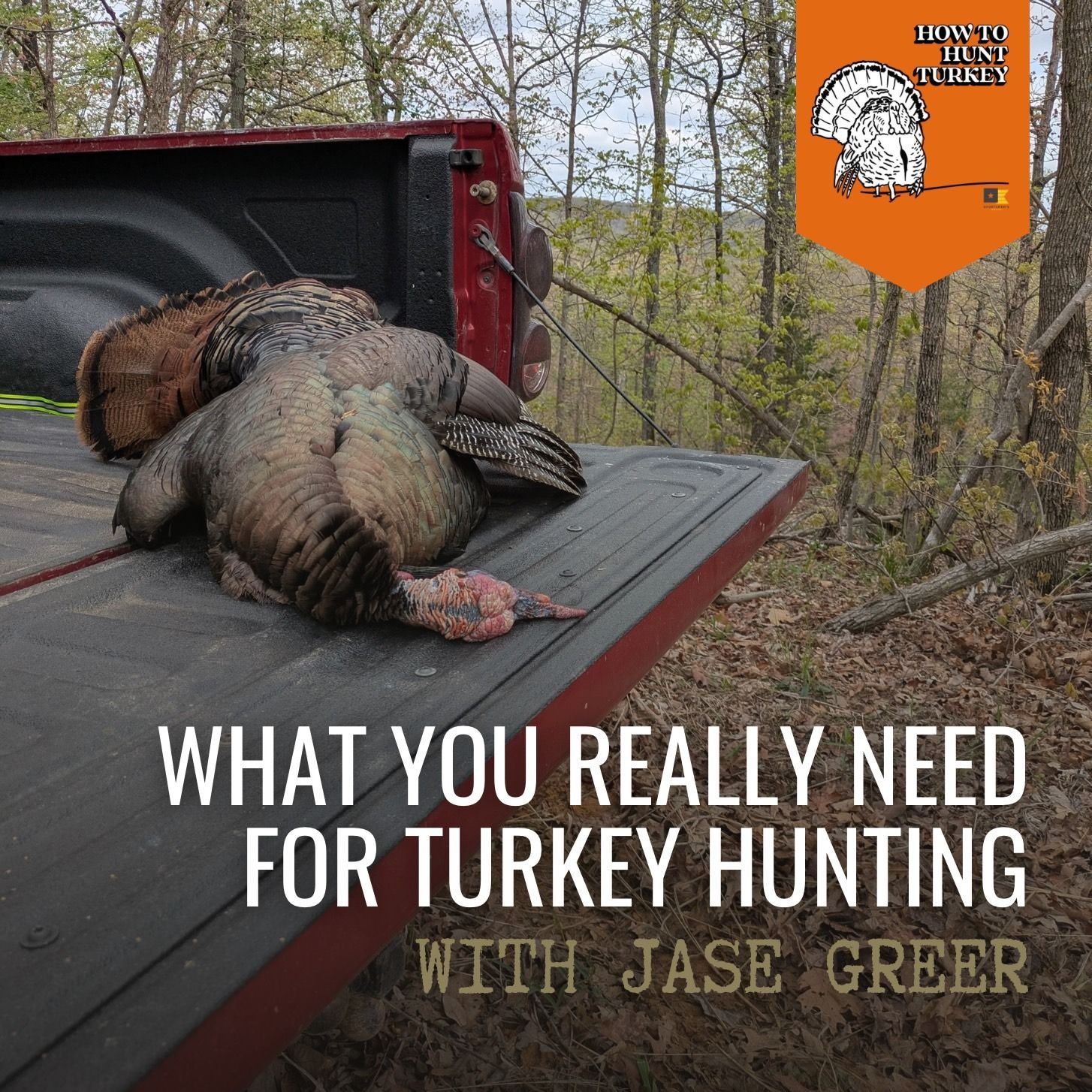 How To Hunt Turkey - What You Really Need for Turkey Hunting