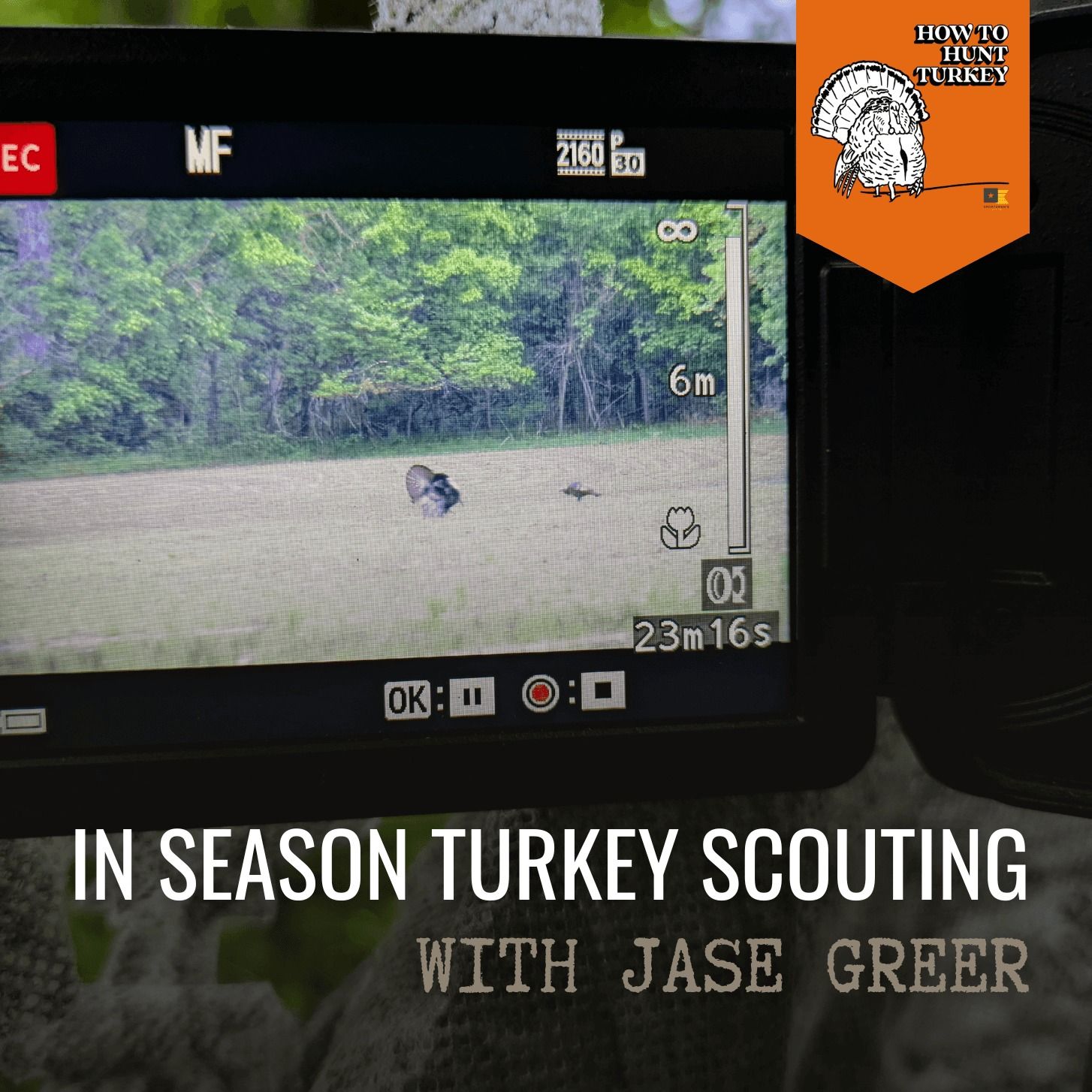 How To Hunt Turkey - In Season Turkey Scouting