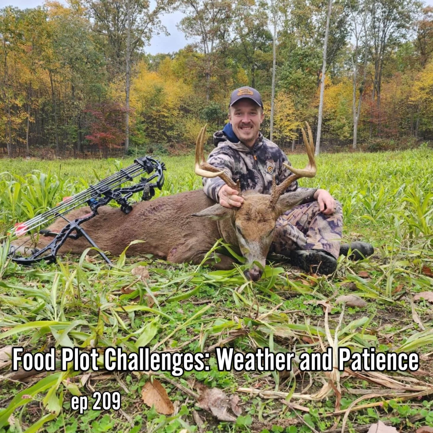 Food Plot Challenges: Weather and Patience