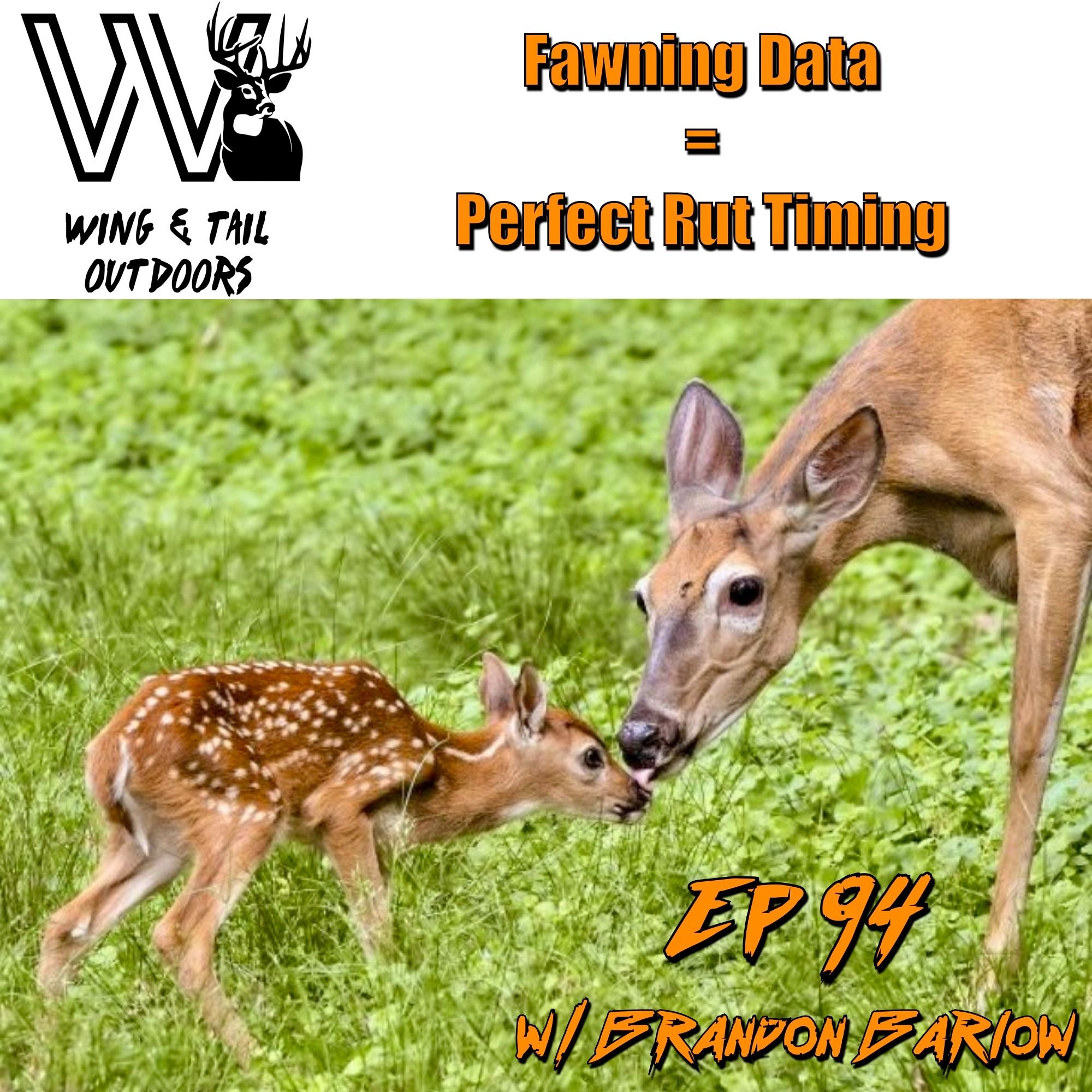 Fawning Data = Perfect Rut Timing w/ Brandon Barlow episode artwork