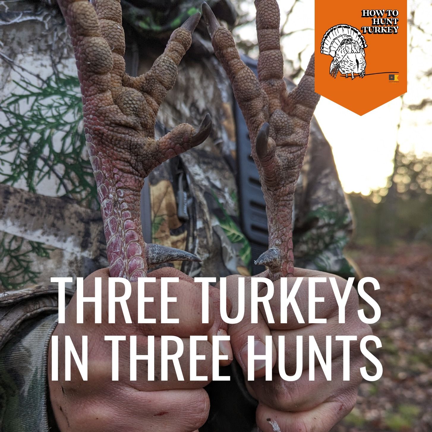 How To Hunt Turkey - Three Turkeys In Three Hunts with Damien Nissley