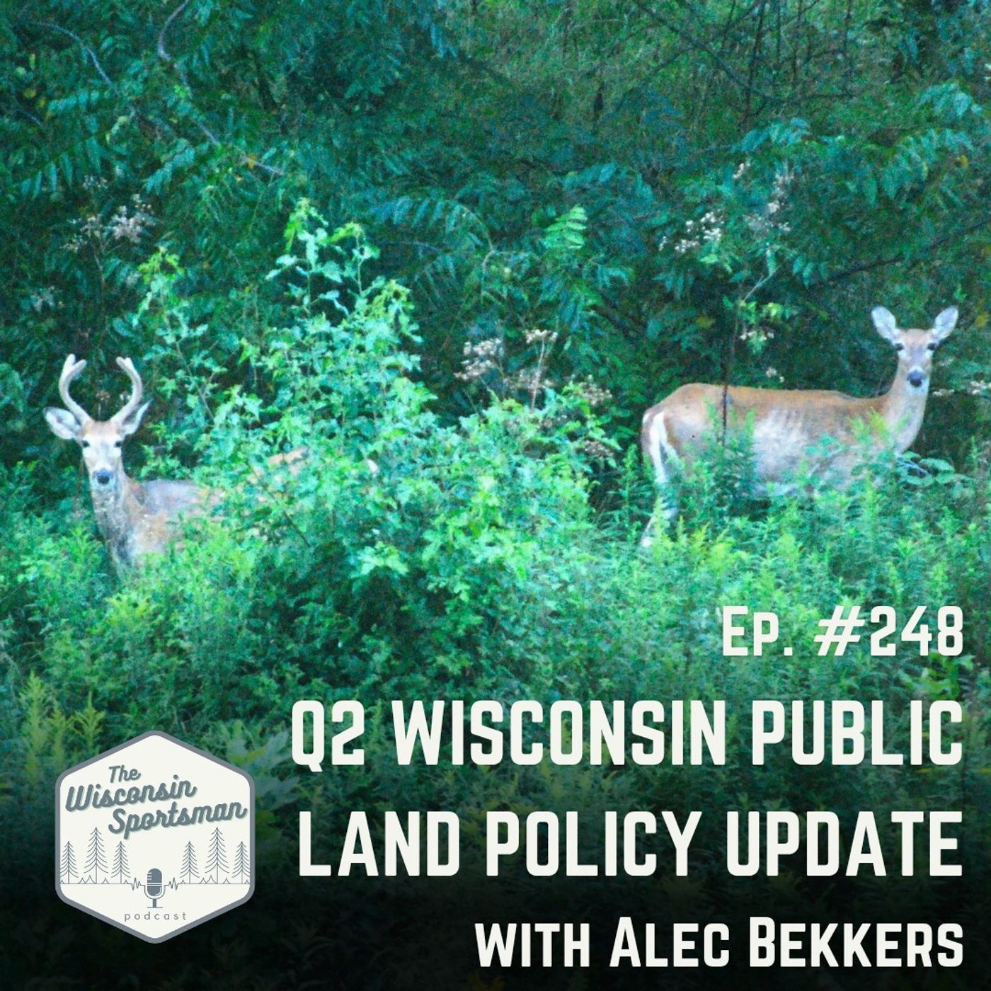 Q2 Wisconsin Public Land Policy Update with Alec Bekkers episode artwork