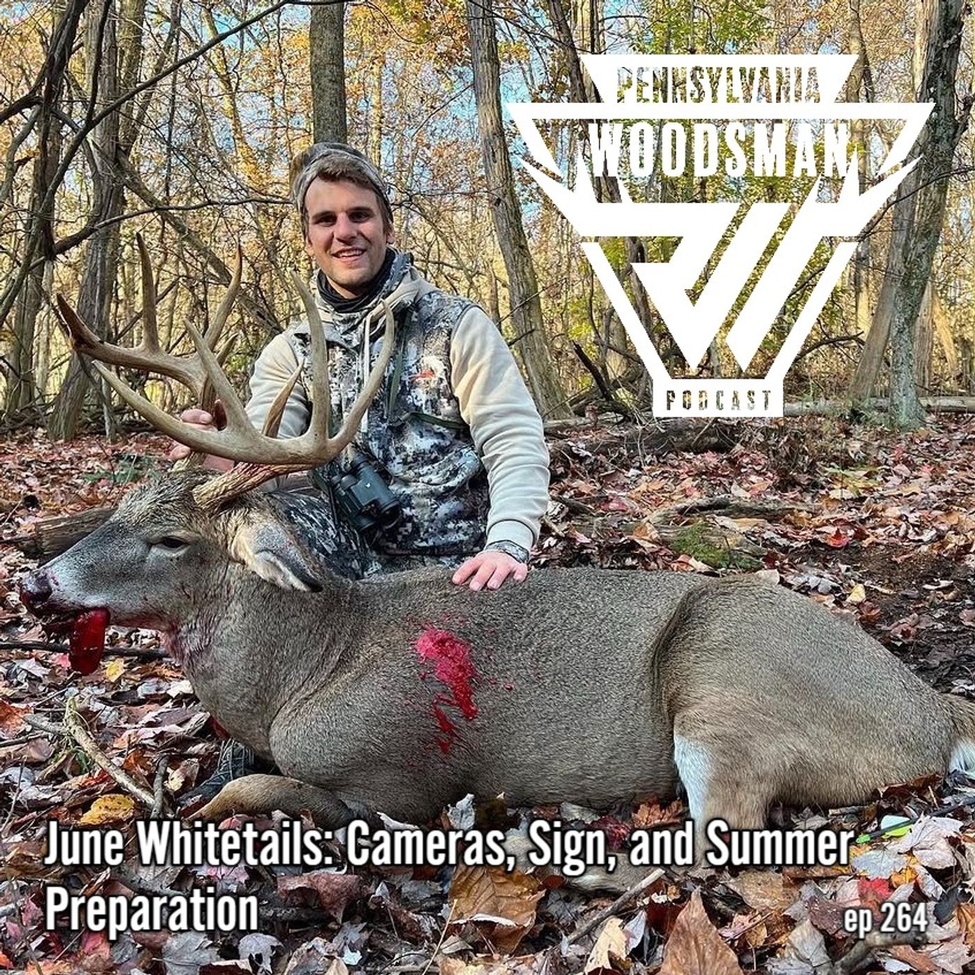June Whitetails: Cameras, Sign, and Summer Preparation episode artwork