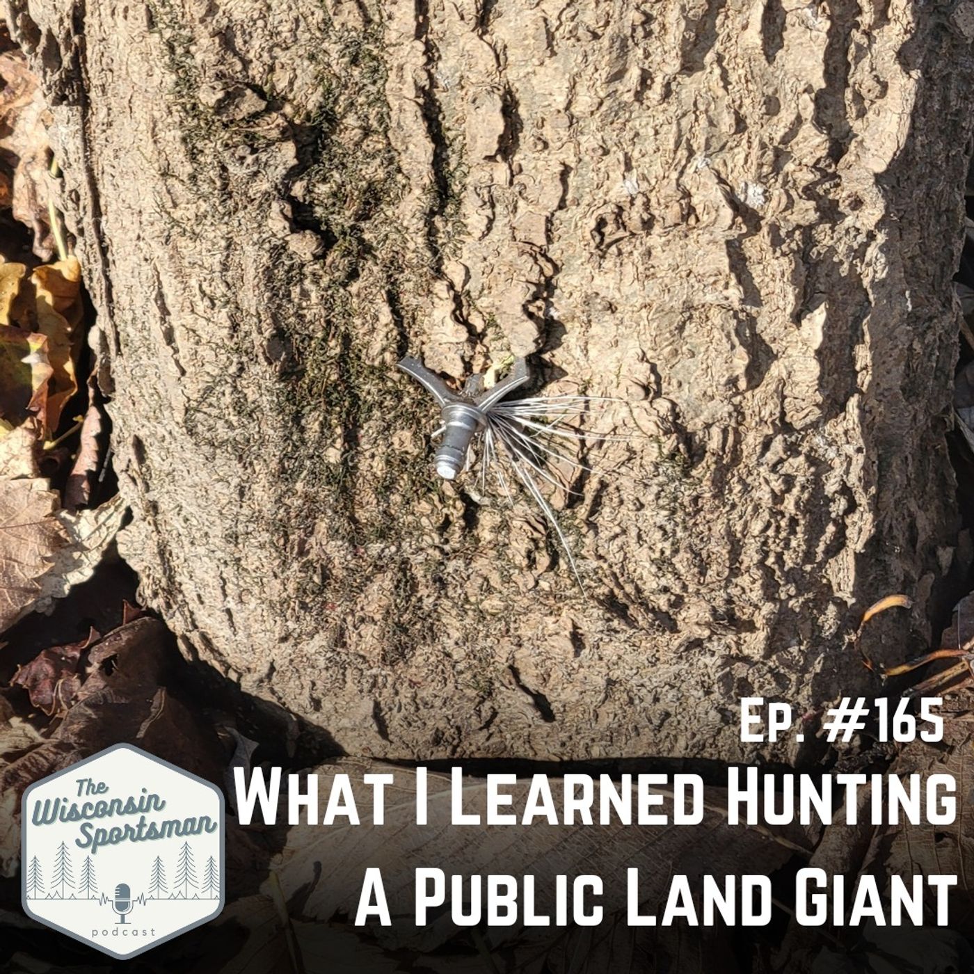 What I Learned Hunting a Public Land Giant