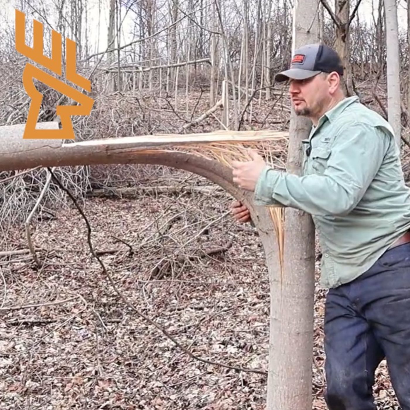 EP226 Hinge Cutting Techniques, Tree Species Selection, Food Plot Sequencing episode artwork