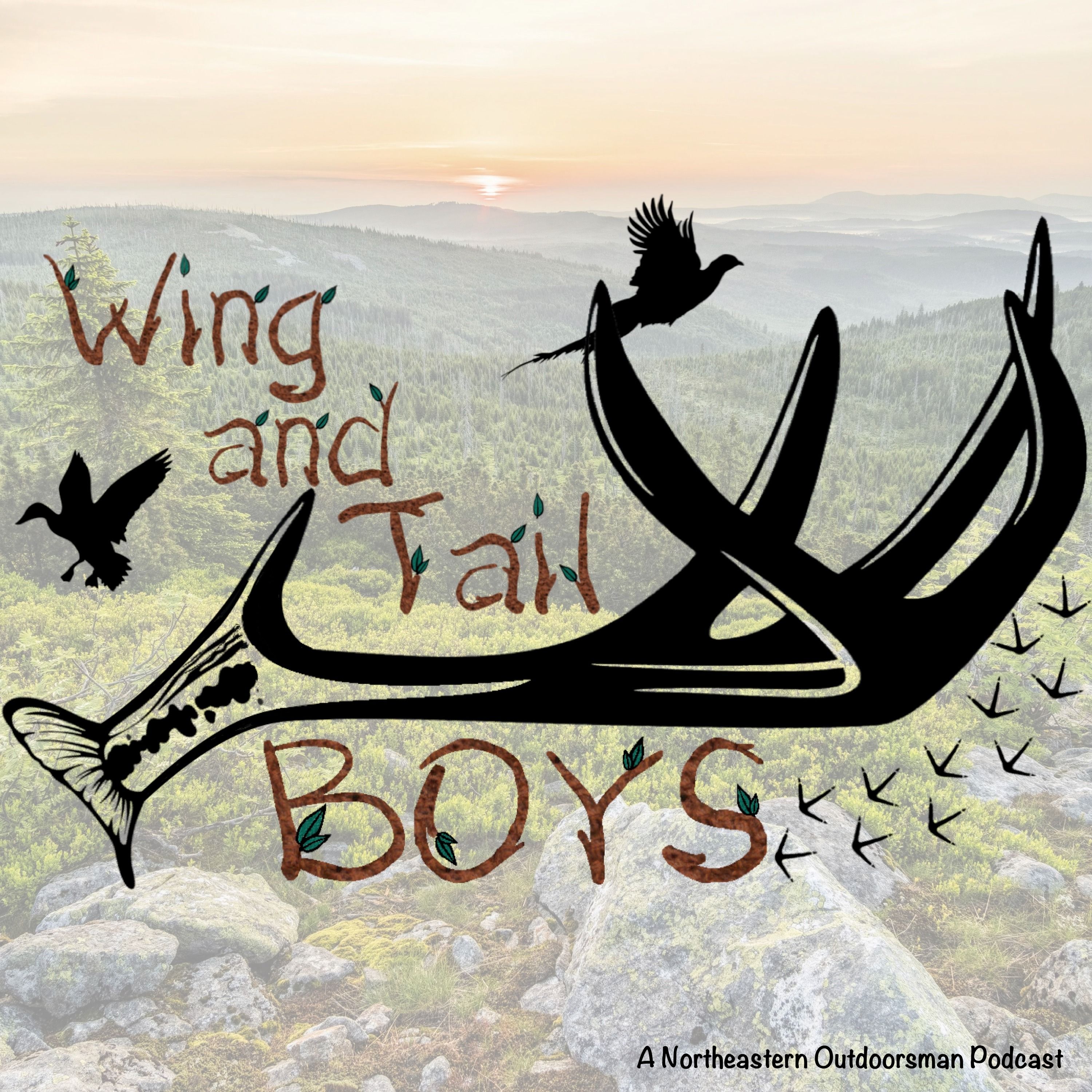 Wing & Tail Boys