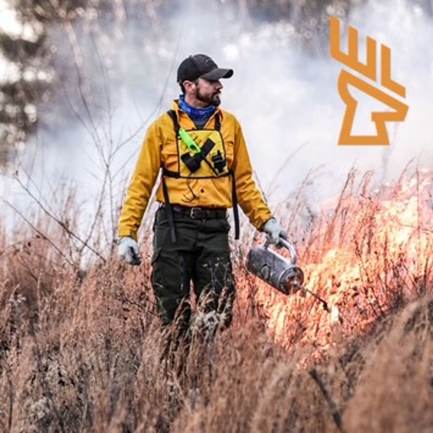 Episode 219 Deer and Ruffed Grouse Habitat Layout, Techniques to Restore Landscapes, Stiltgrass Control