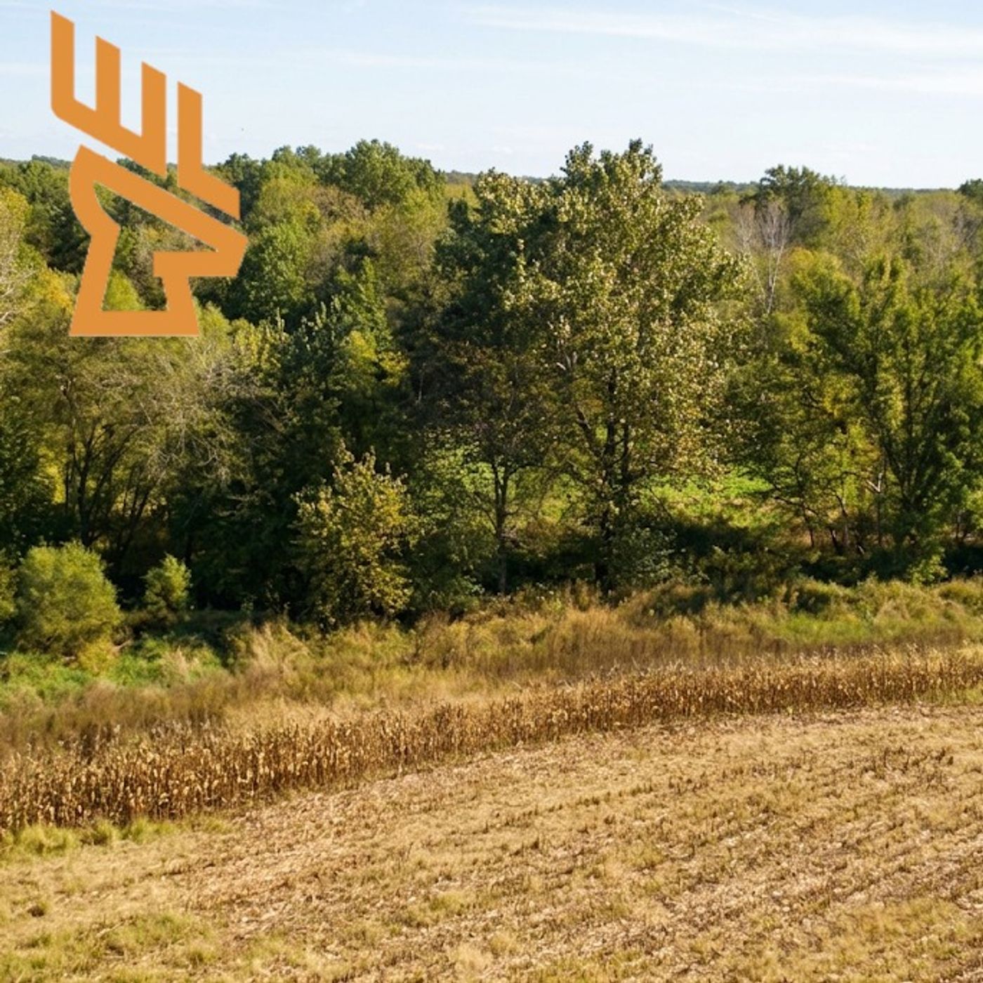 EP246 Designing the Perfect Hunting Acre, Deer Habitat Layout and Strategy