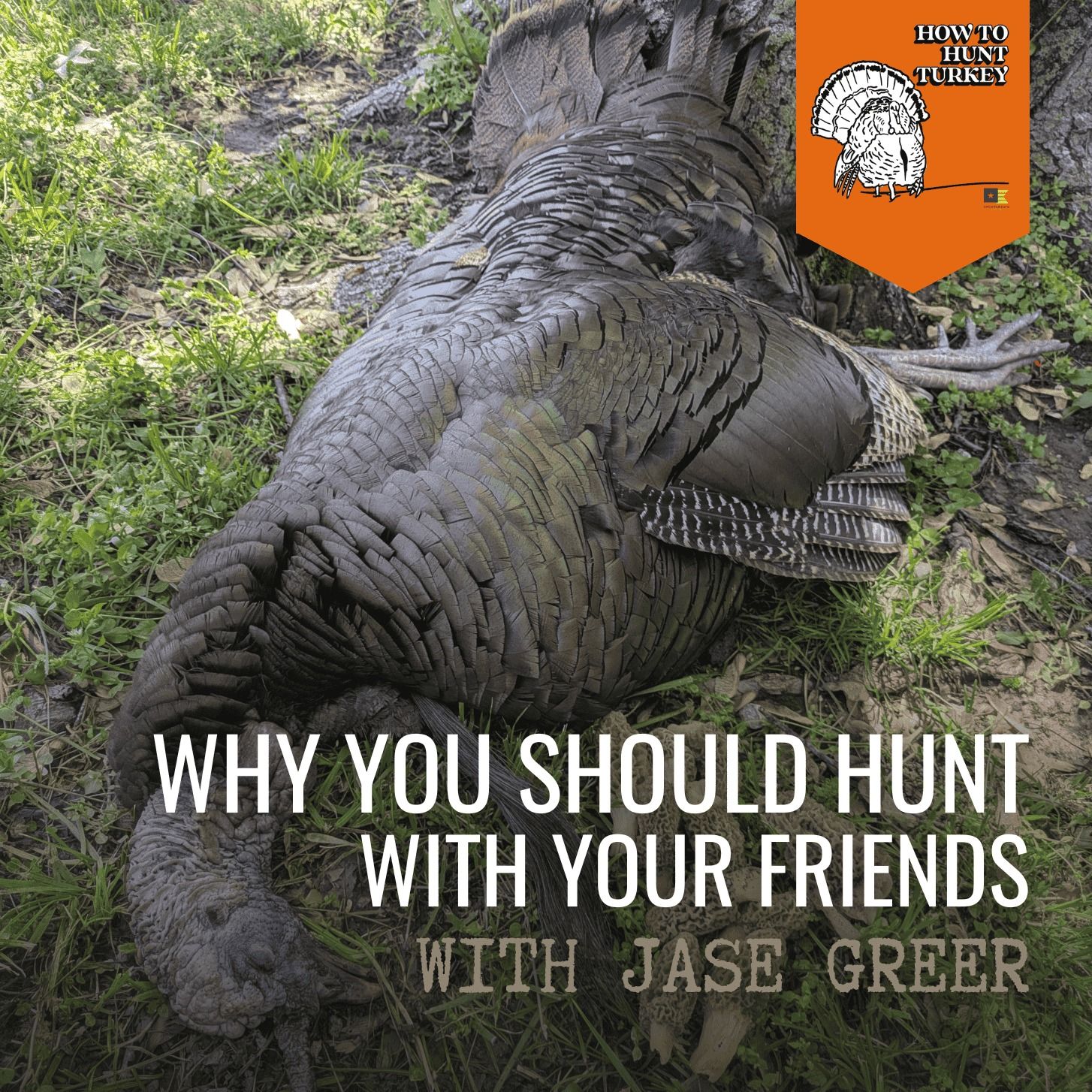 How To Hunt Turkey - Why You Should Hunt With Your Friends