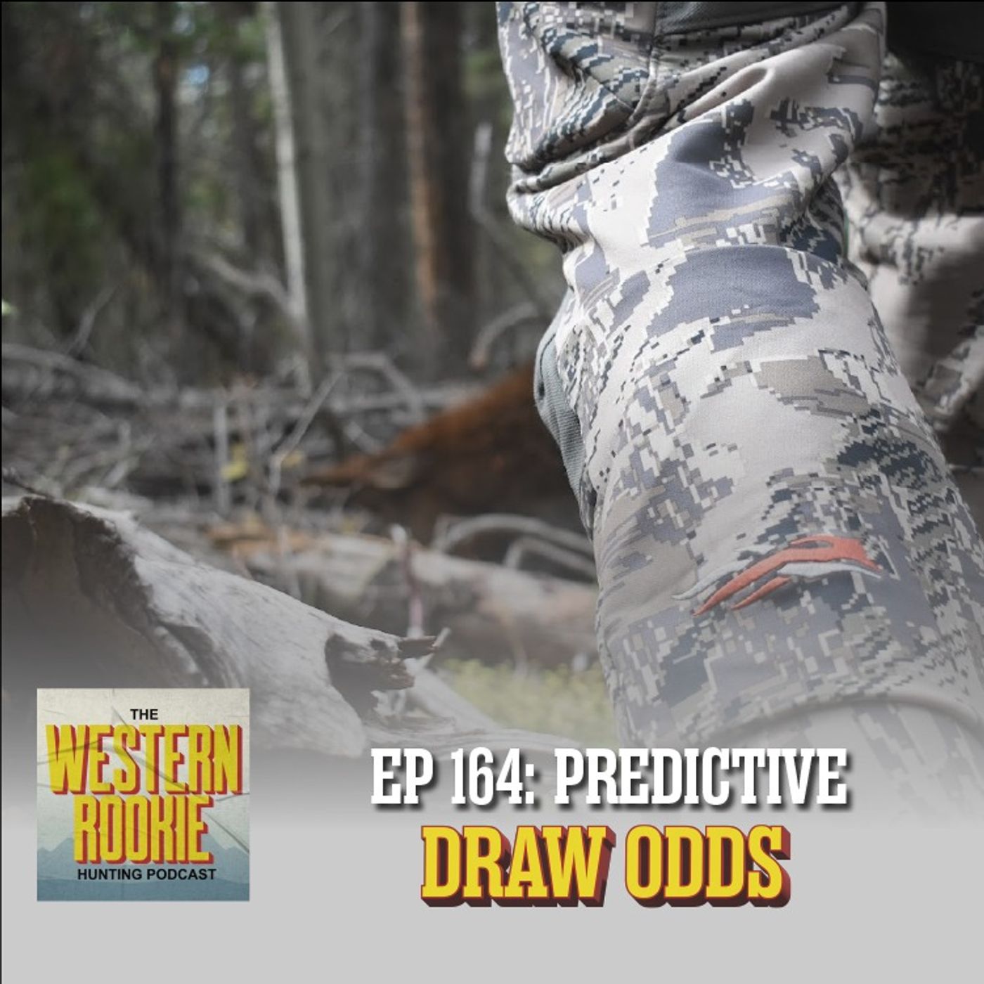 Predictive Draw Odds