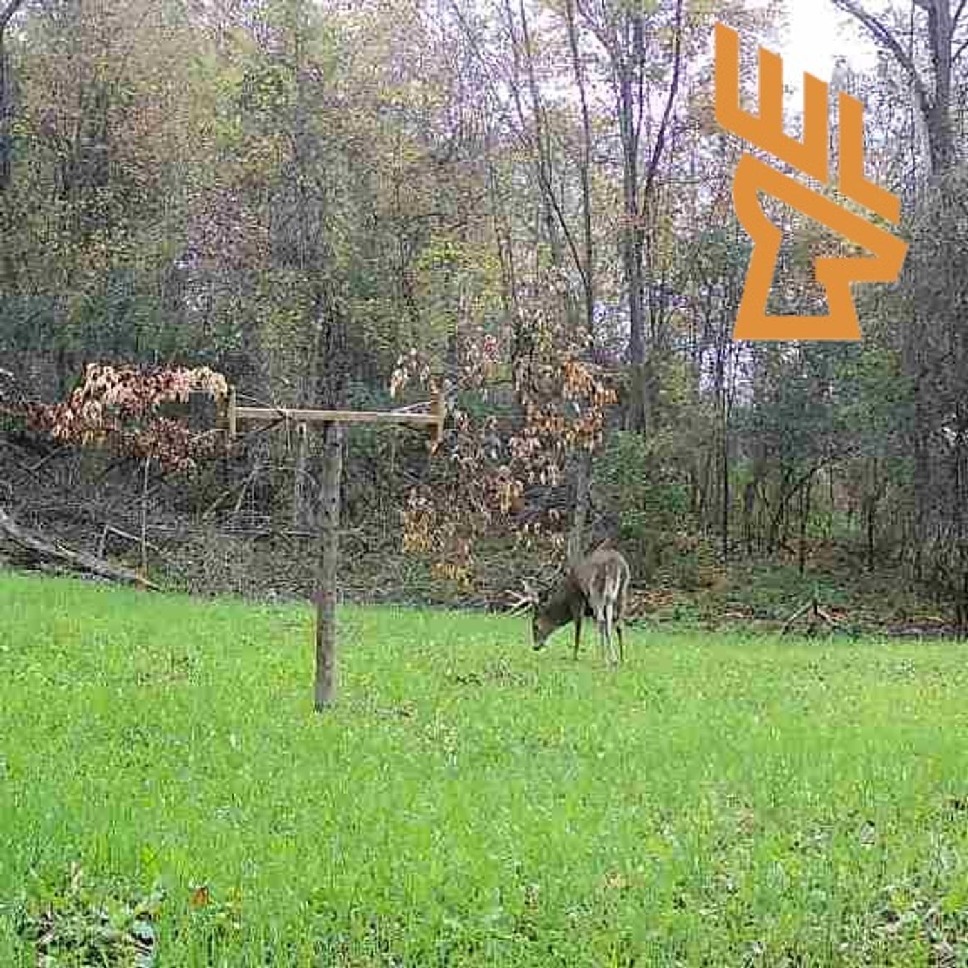 EP183 Advancing Food Plots, Clover, Aeration, Holding More Deer