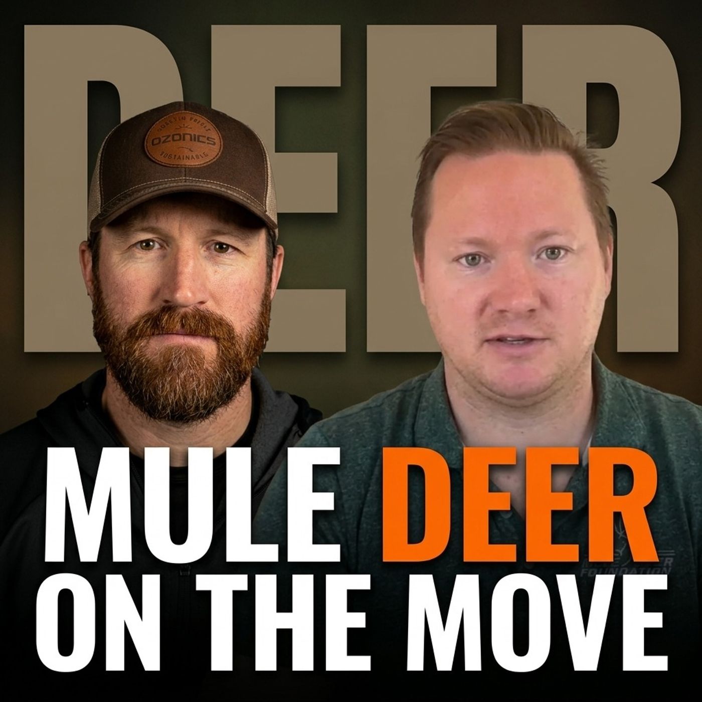 B.S. Session: Mule Deer