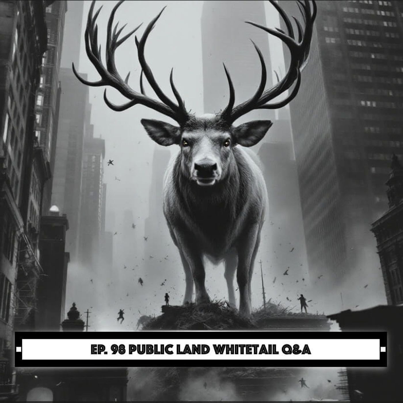 Public Land Whitetail Q&A