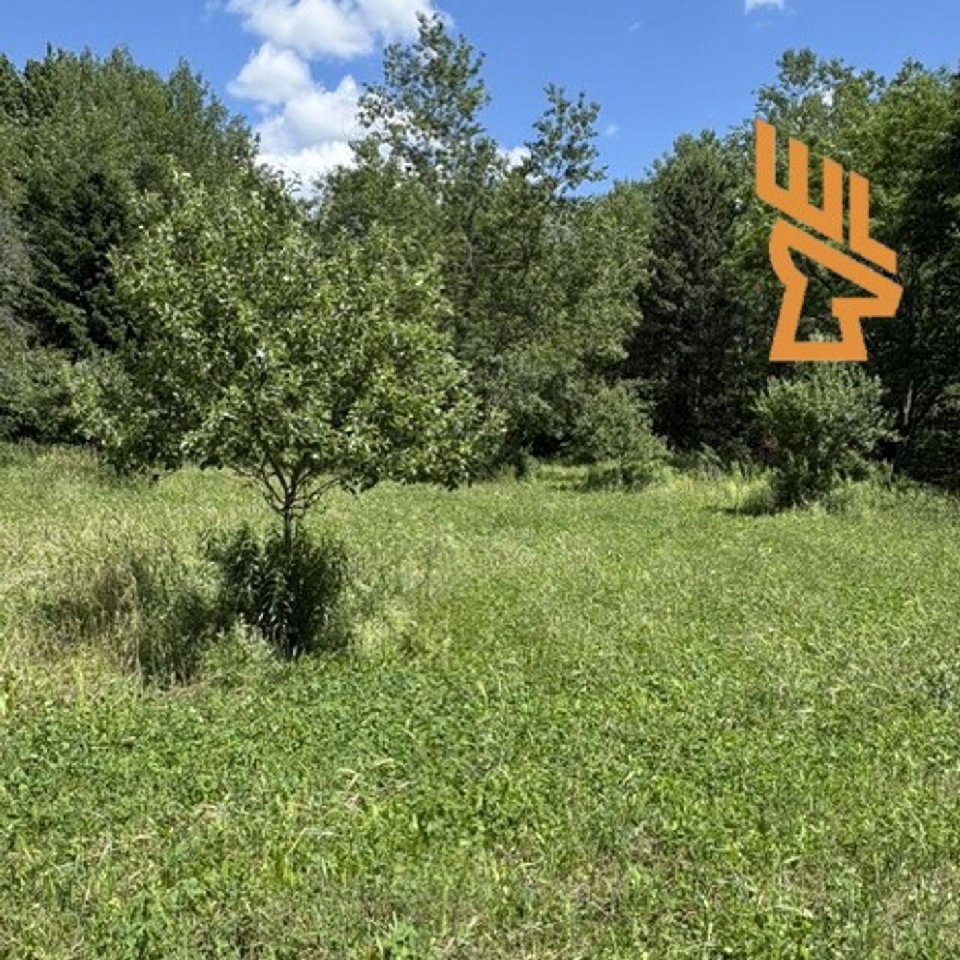 Play EP233 Waterholes or Ponds, Perennial or Annual Food Plots, Compost Teas