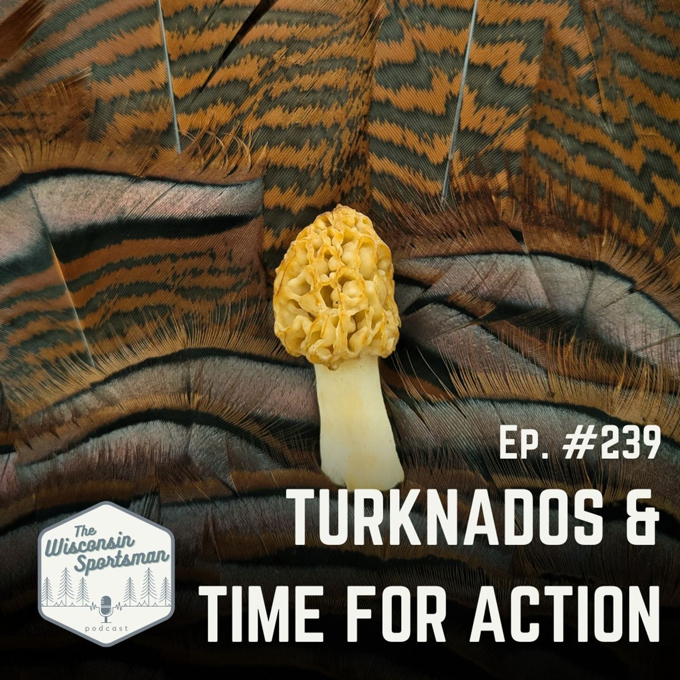 Turknados & Time for Action episode artwork