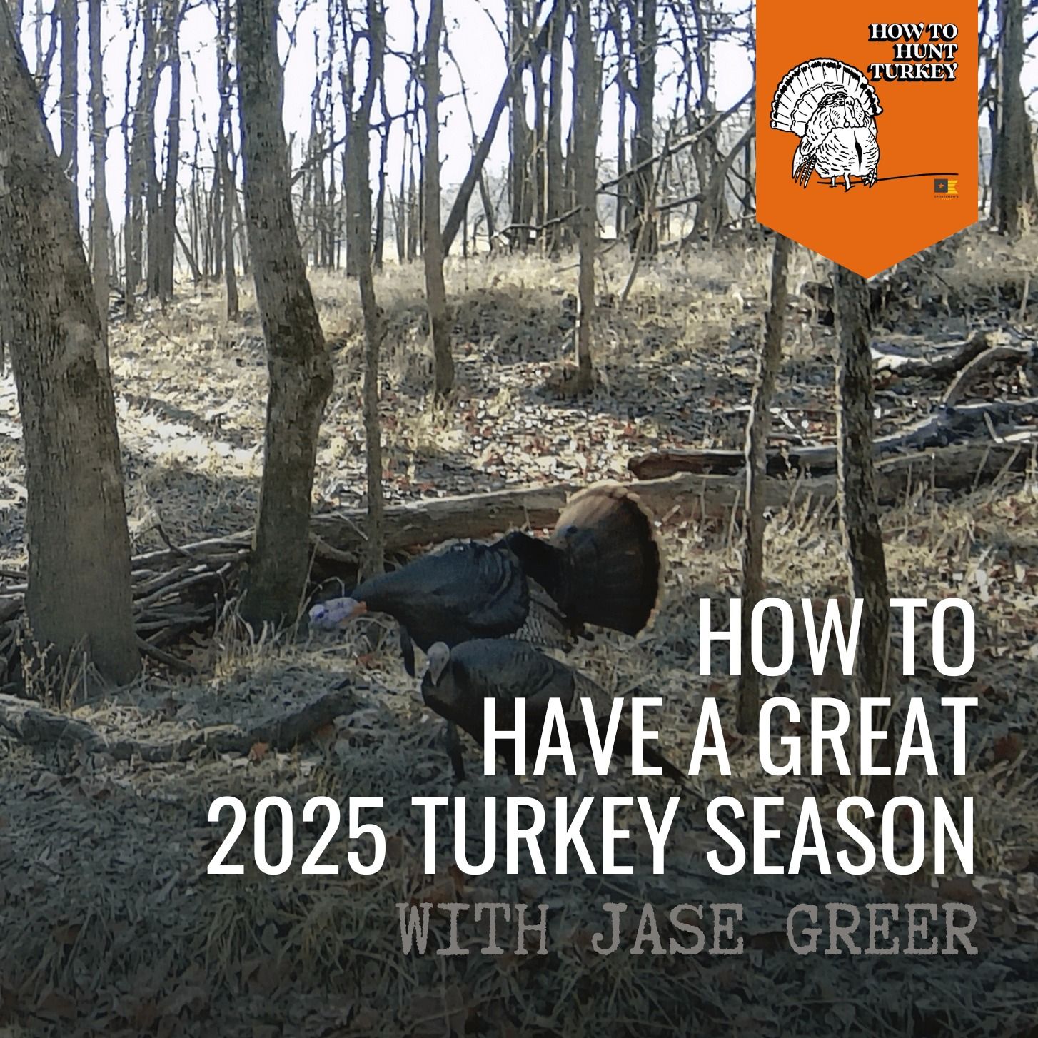How To Hunt Turkey - How To Have A Great 2025 Turkey Season