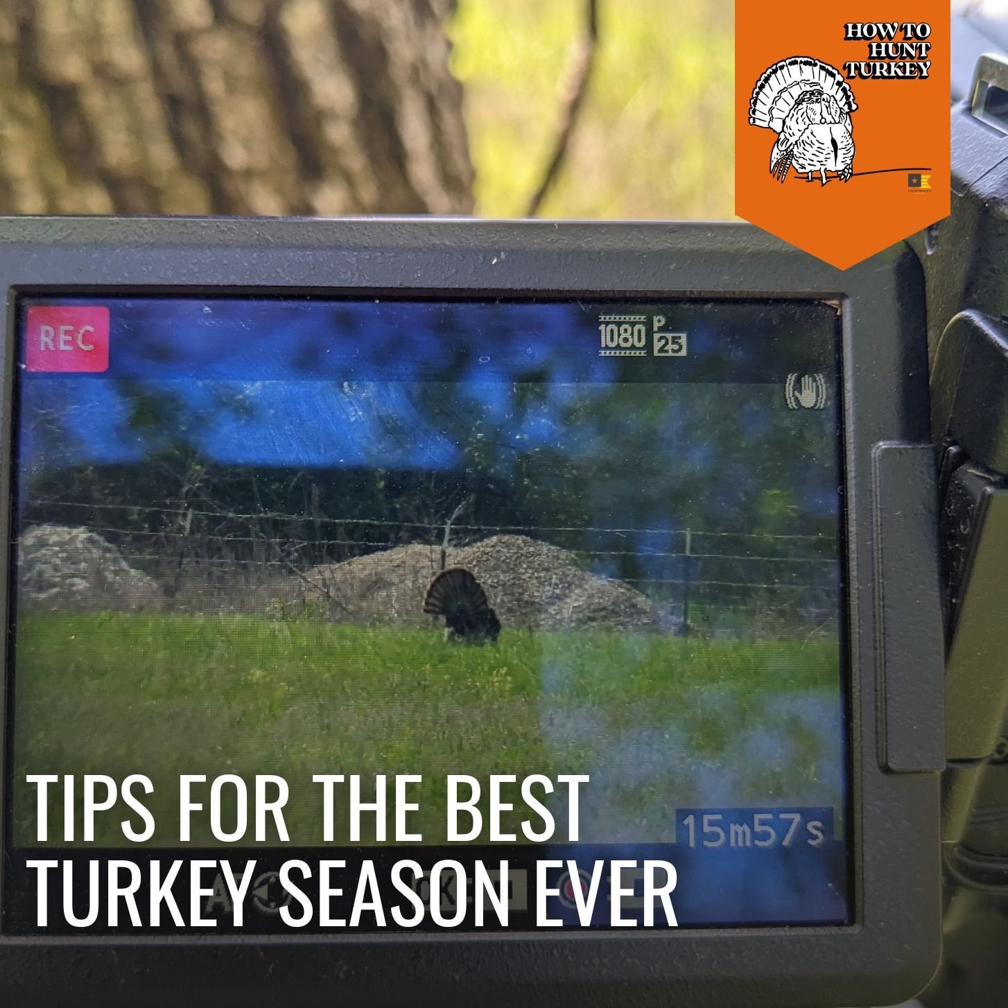 How To Hunt Turkey - Tips For The Best Turkey Season Ever