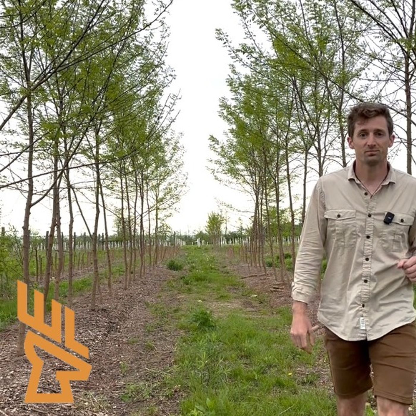 EP178 Reshaping Your Farm with Trees, Income Generators, Fruit, Chestnuts, Attracting Deer