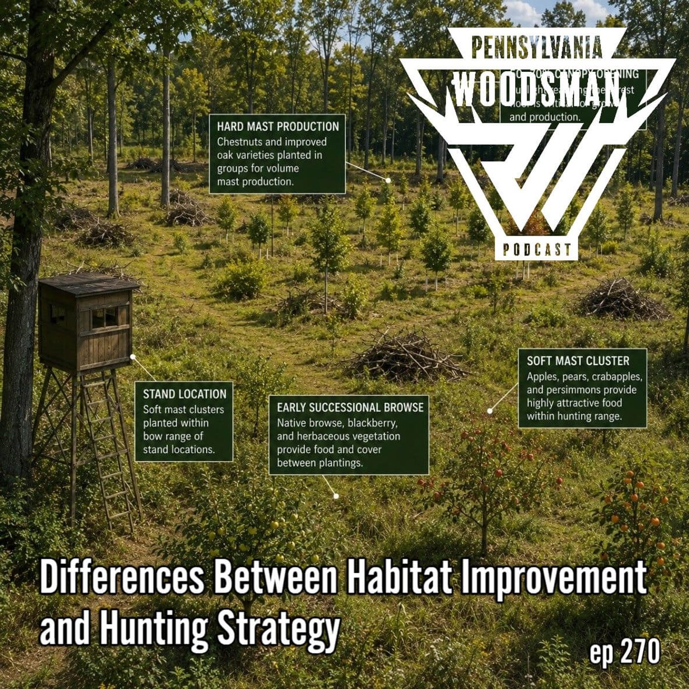 Differences Between Habitat Improvement and Hunting Strategy