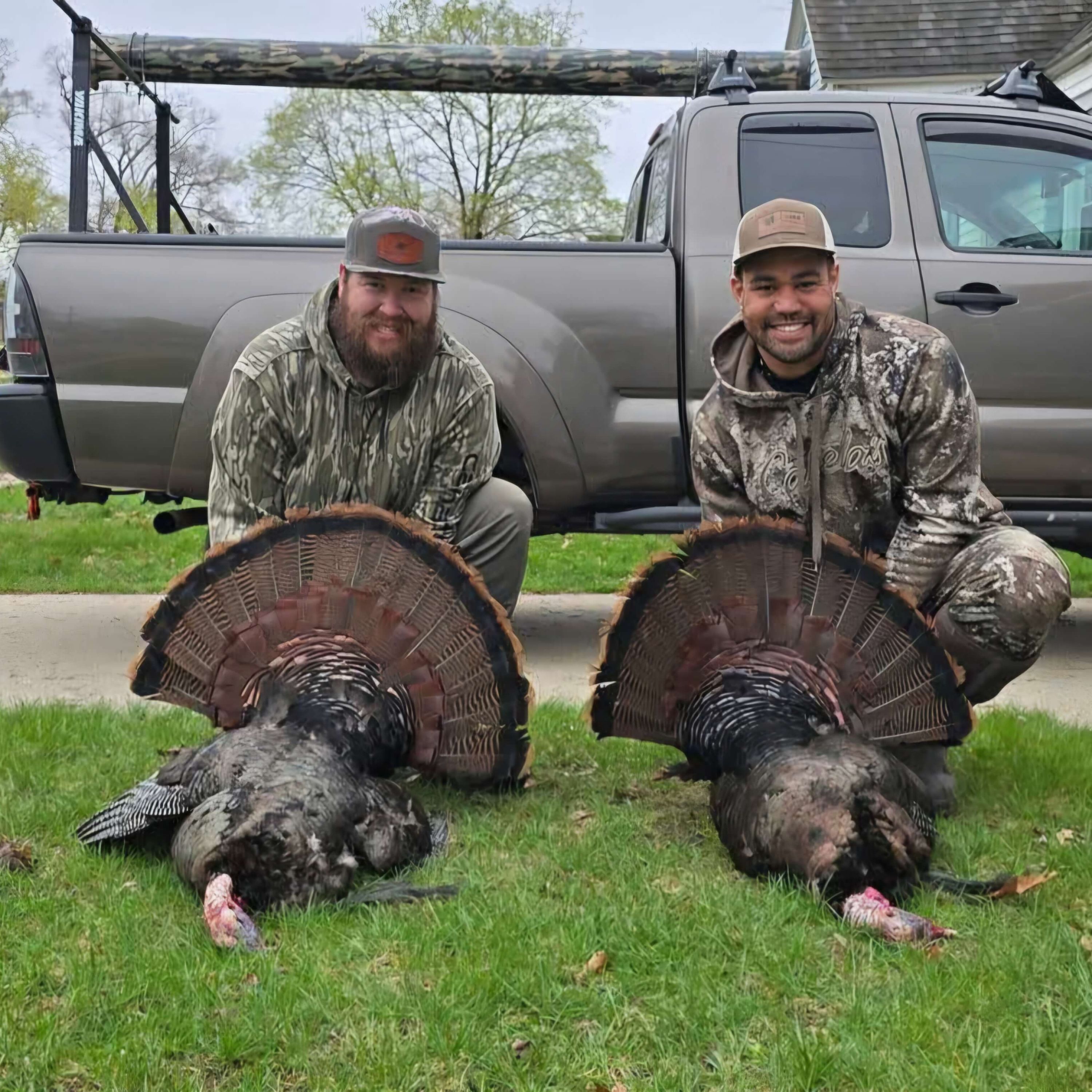 Michigan Wild - Double T's