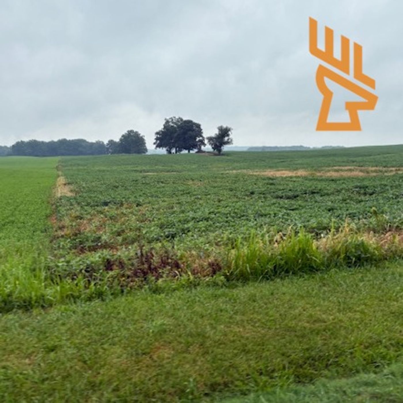 EP189 Designing Wildlife Travel Corridors and Hedgerows