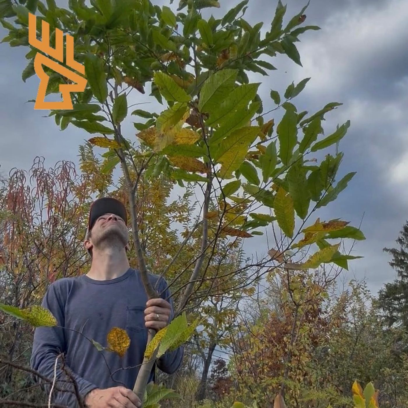 Play EP231 Farming Inside a Forest, Agroforestry, Ecology, Deer Focused Forests