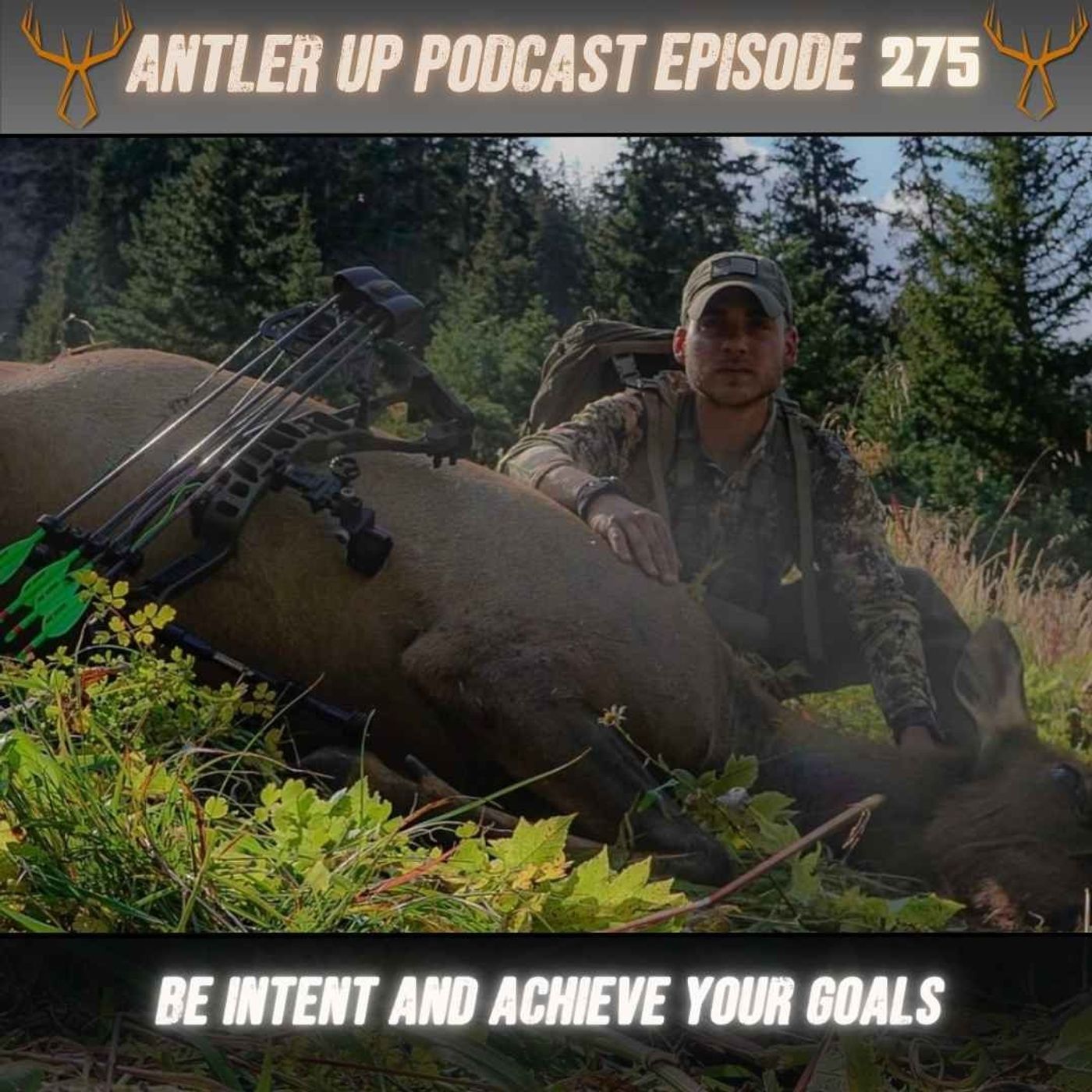 Antler Up Podcast