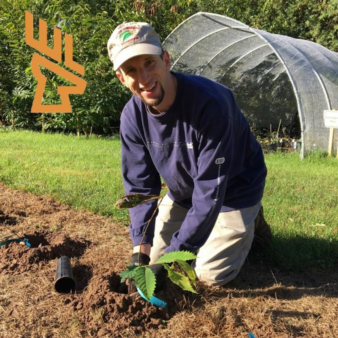 EP224 The American Chestnut Comeback: Restoration, Deer Habitat, and the GMO Question episode artwork