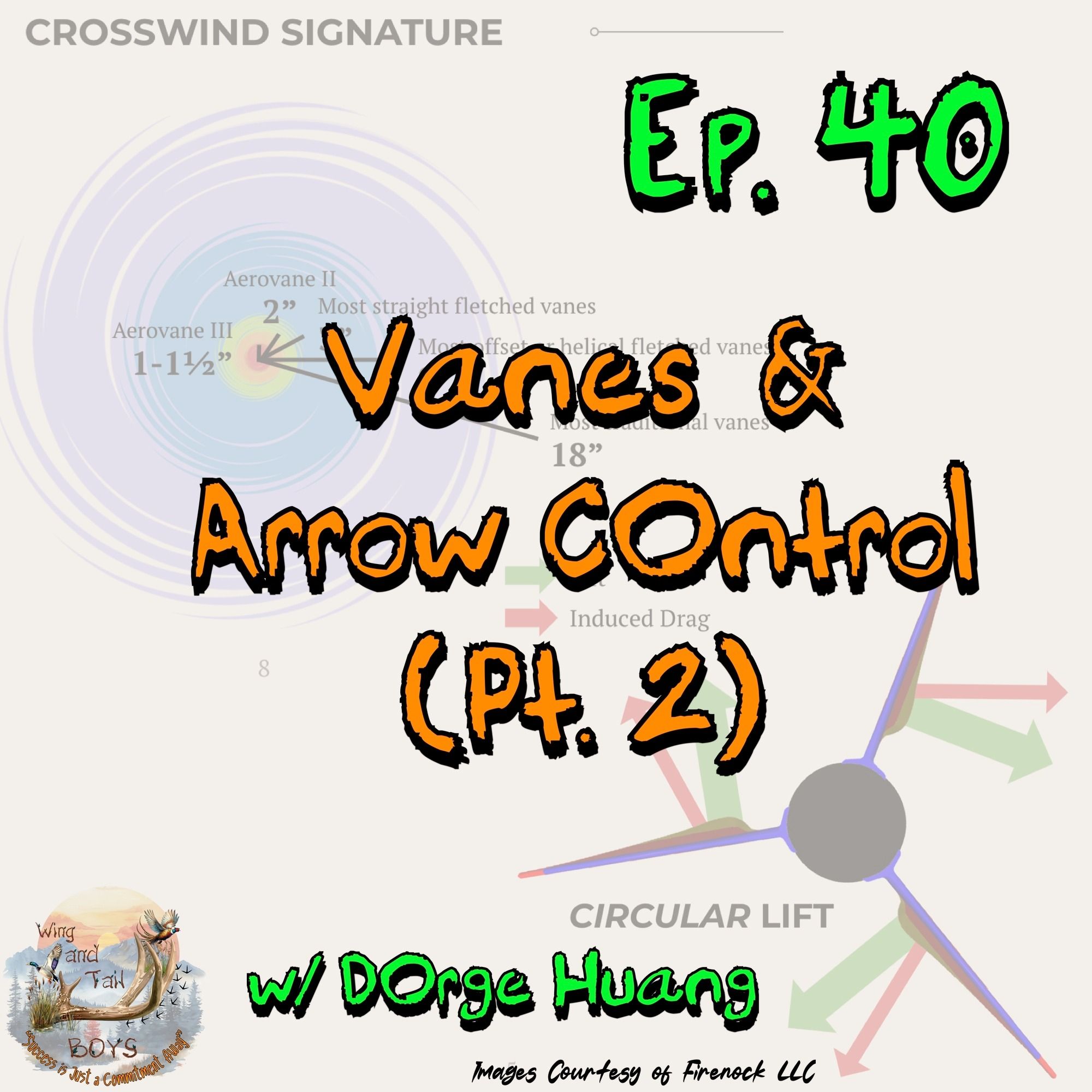 Vanes and Arrow Control (Pt. 2) - w/ Dorge Huang