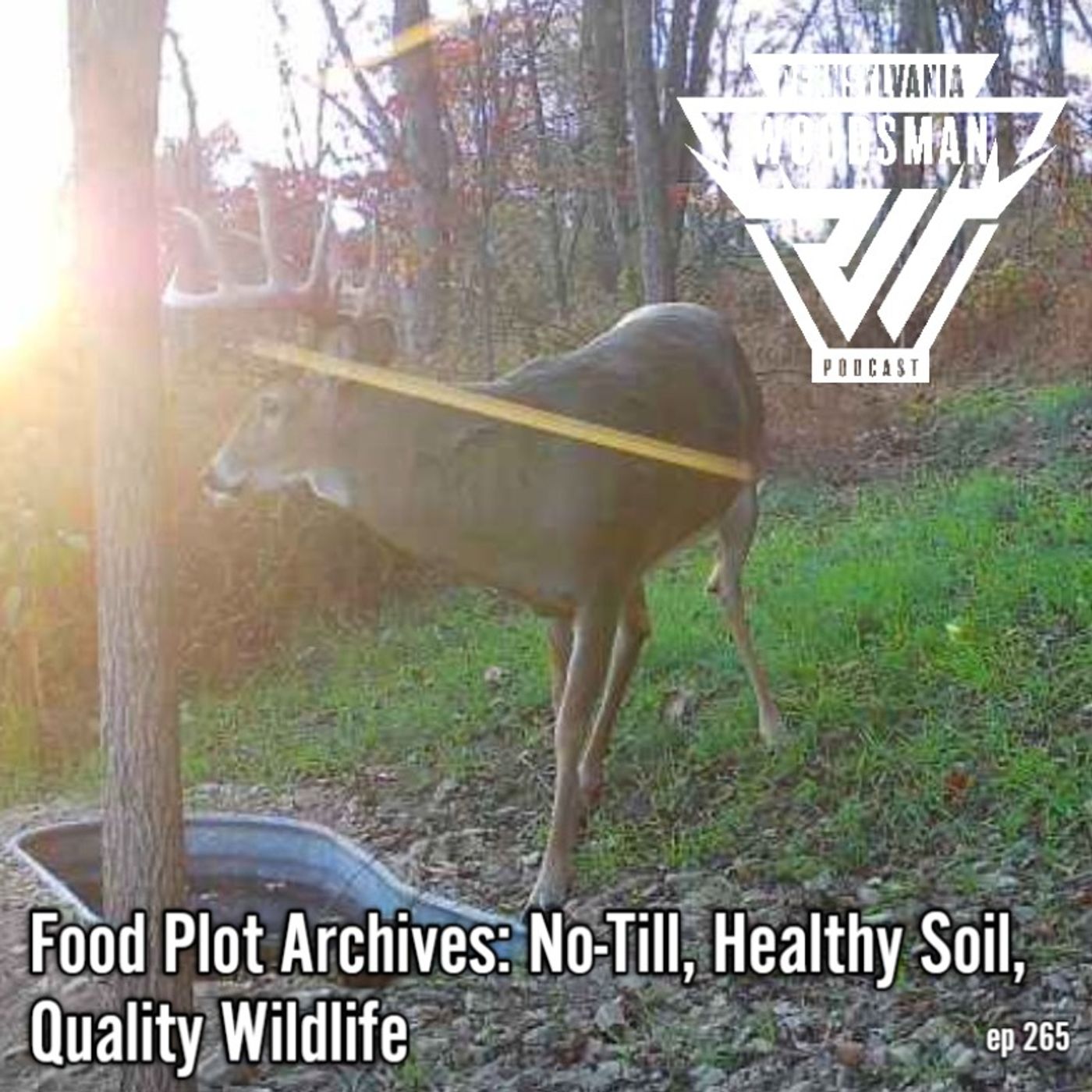Food Plot Archives: No-Till, Healthy Soil, Quality Wildlife episode artwork
