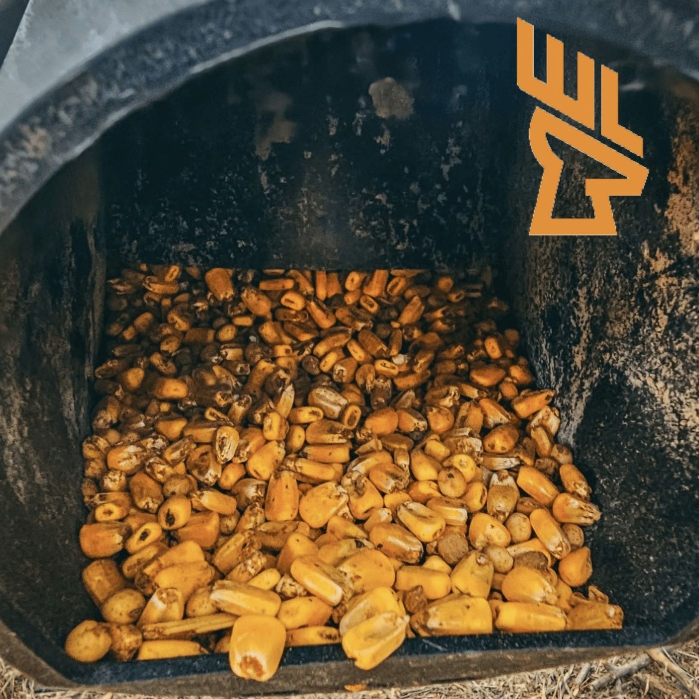 EP236 Waterhole Placement, Baiting and Supplemental Feeding Debate, Bigger Deer