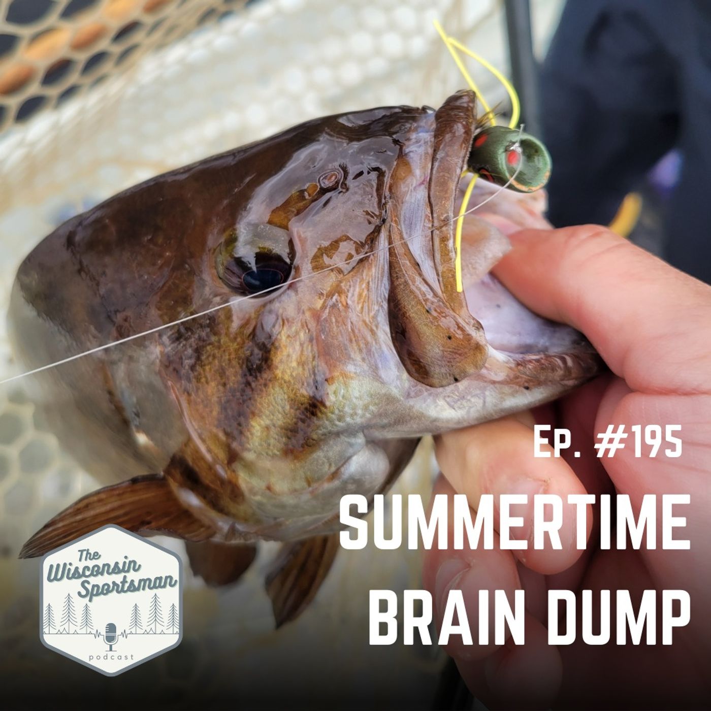 Summertime Brain Dump