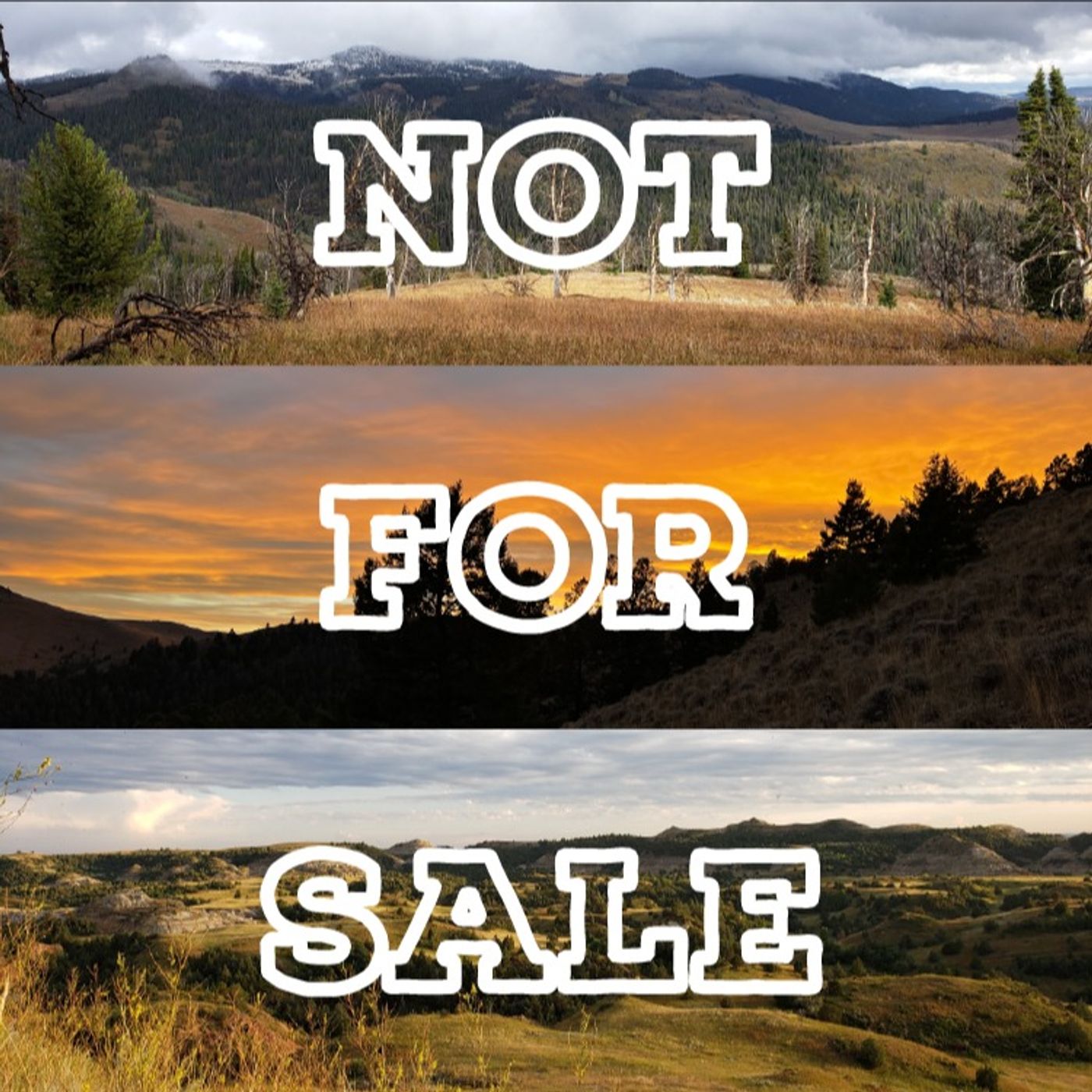 Call Your Senators! w/ Tyler Notch