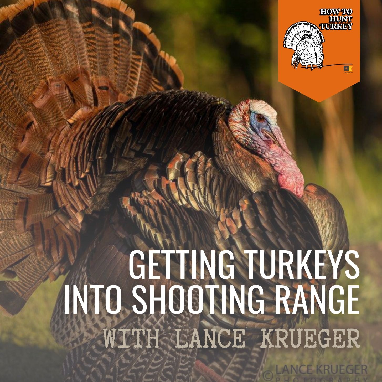 How To Hunt Turkey - Getting Turkeys Into Shooting Range with Lance Krueger