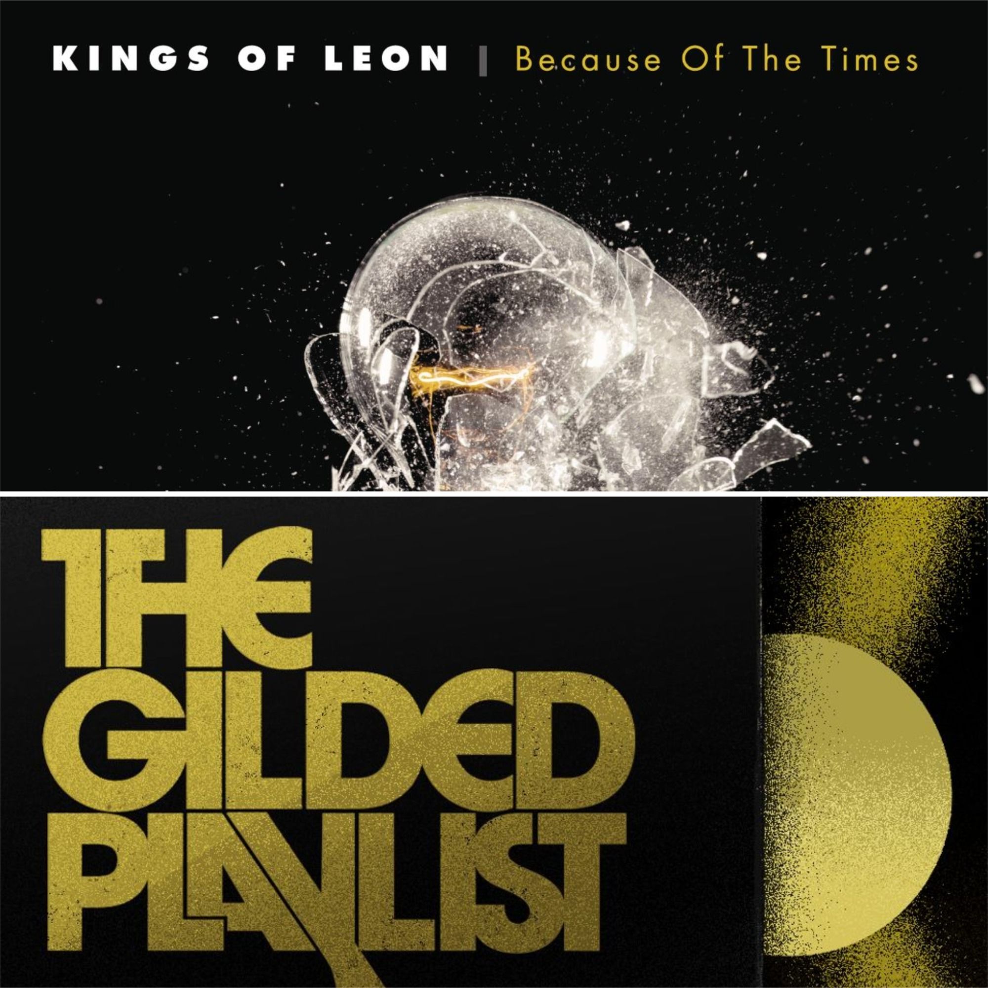 Albums of Meat - Kings of Leon | Because of The Times