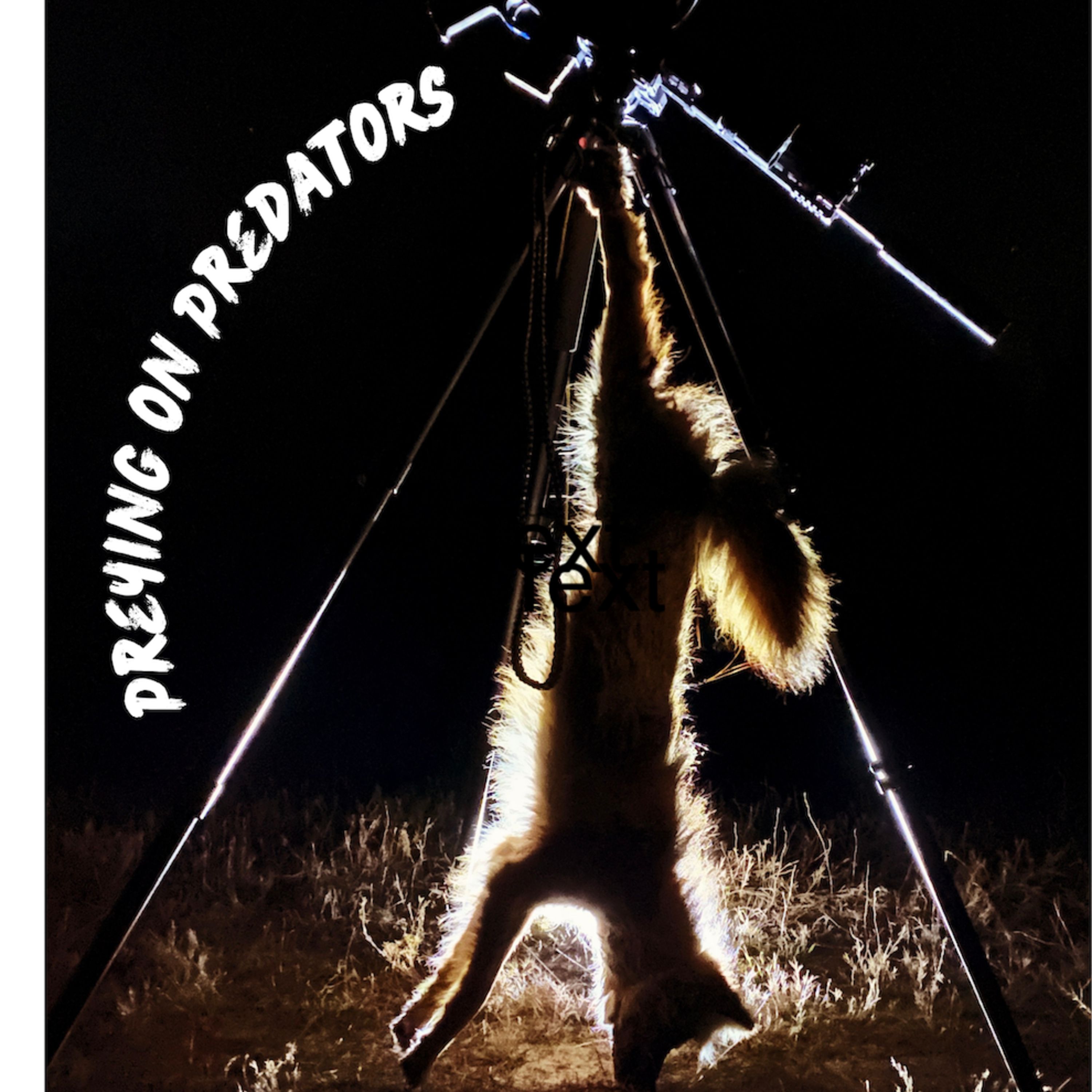 Preying on Predators