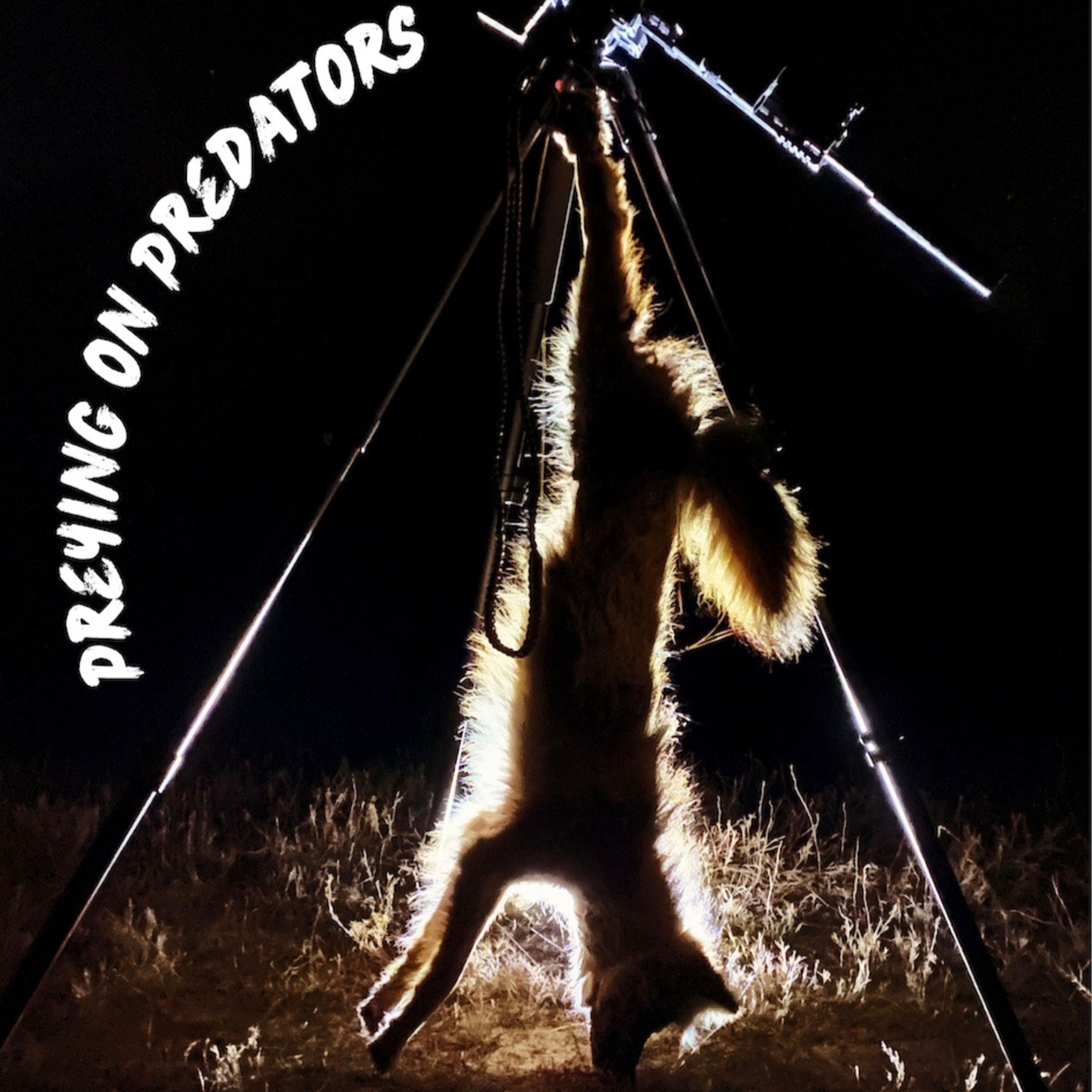 Preying on Predators
