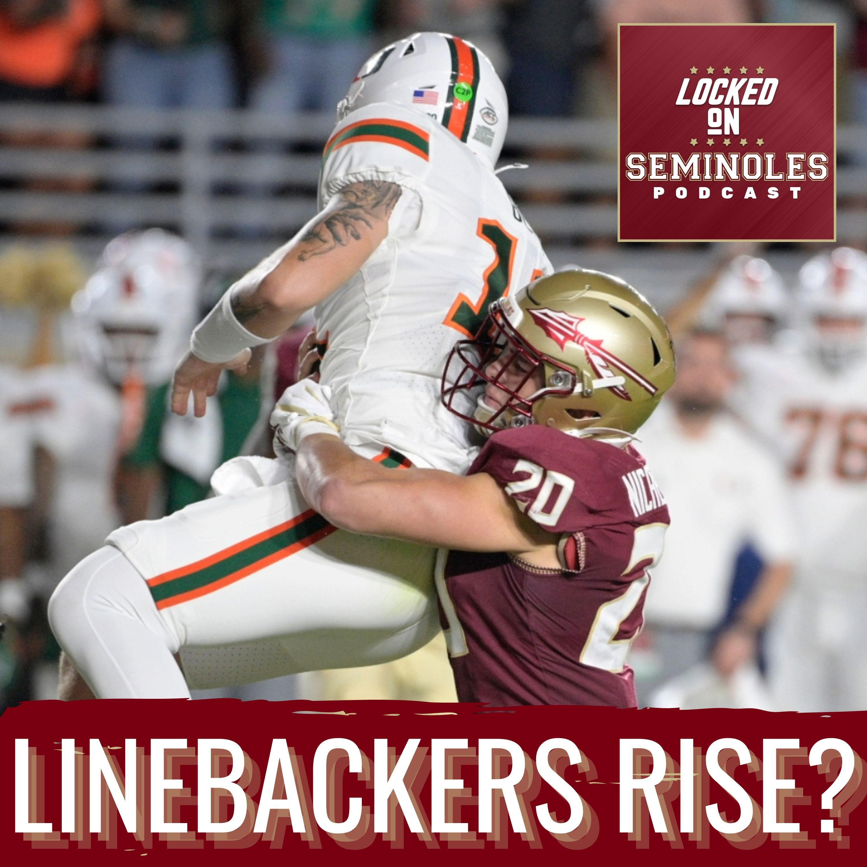GAMECHANGER: Blake Nichelson's ASCENSION Bolsters Florida State's Defense