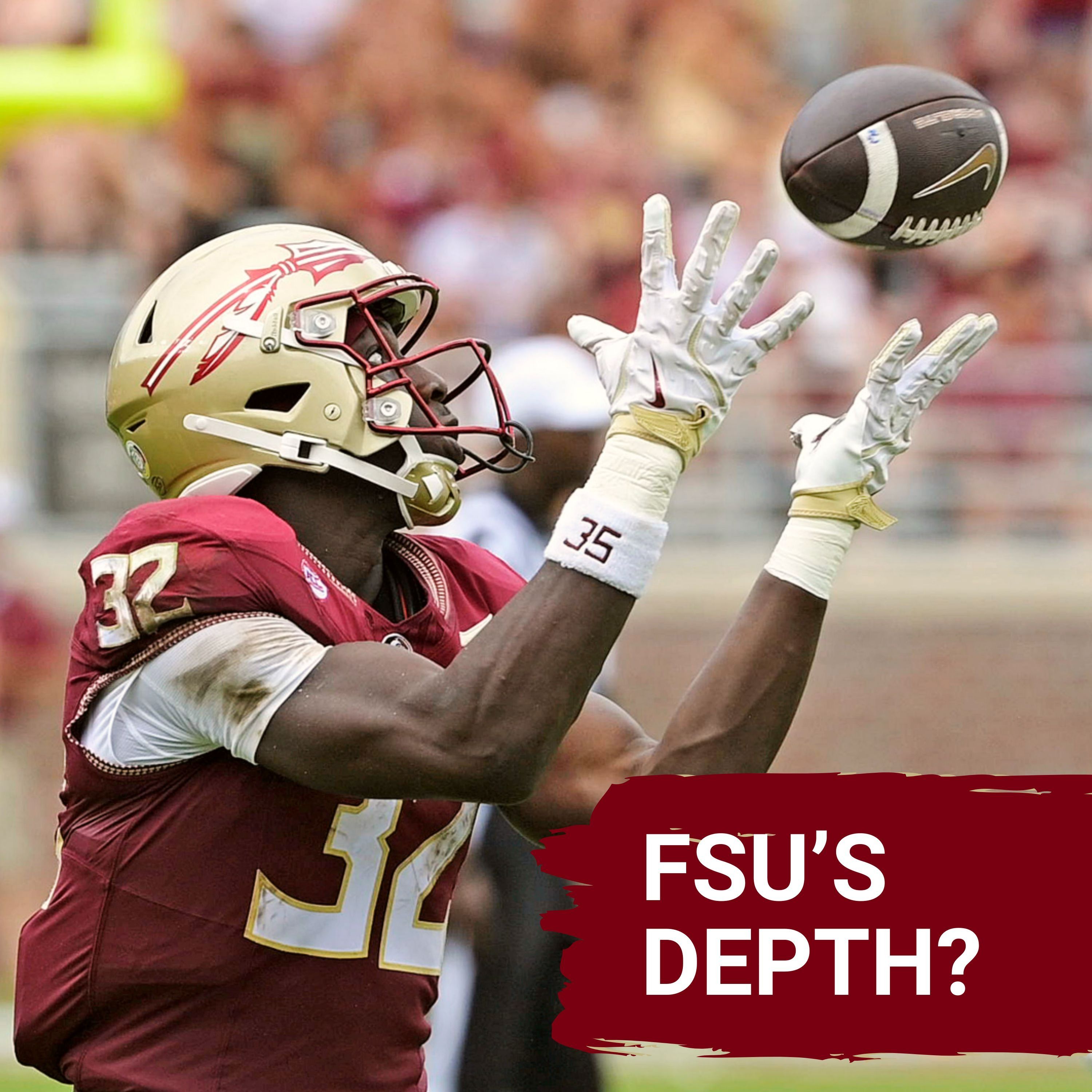 SNAP COUNTS: Florida State's GREAT Position For Future Success!