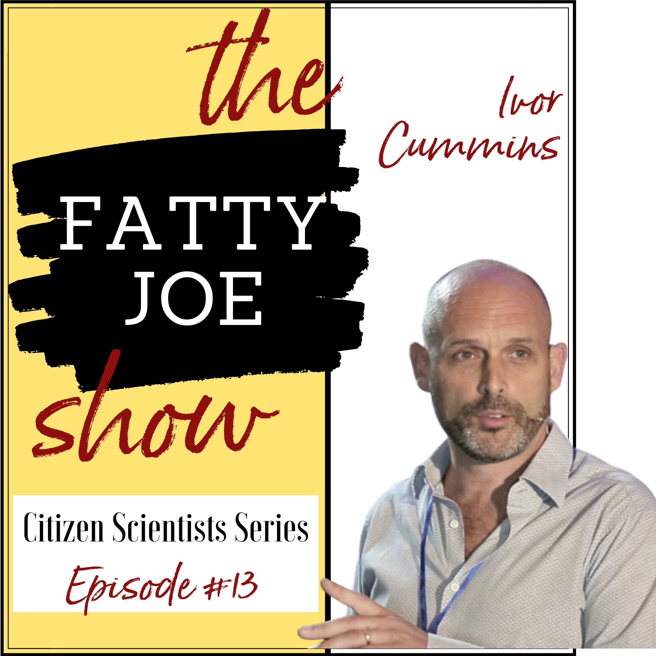 The Fatty Joe Show