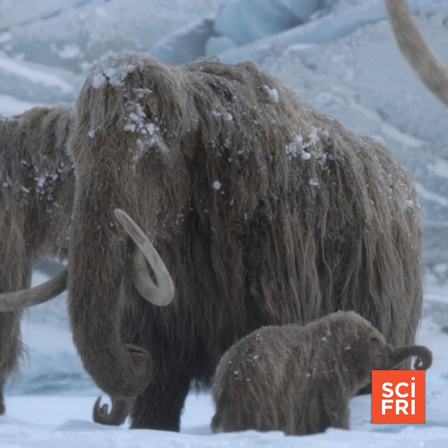 ‘Prehistoric Planet’ Defrosts Strange Animals Of The Ice Age