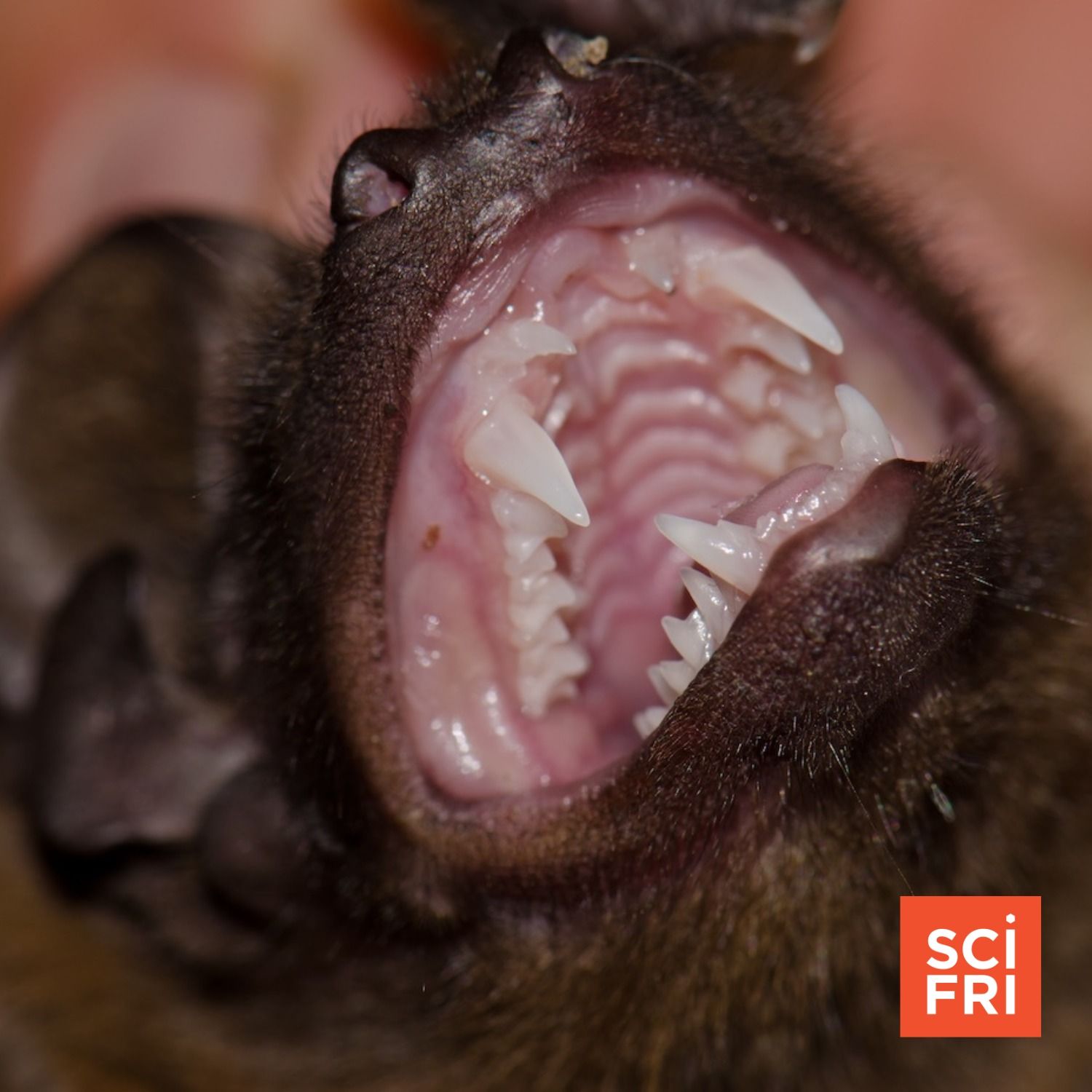 A Halloween Monster Mashup, And A Spooky Lakes Tour A Halloween Monster Mashup, And A Spooky Lakes Tour