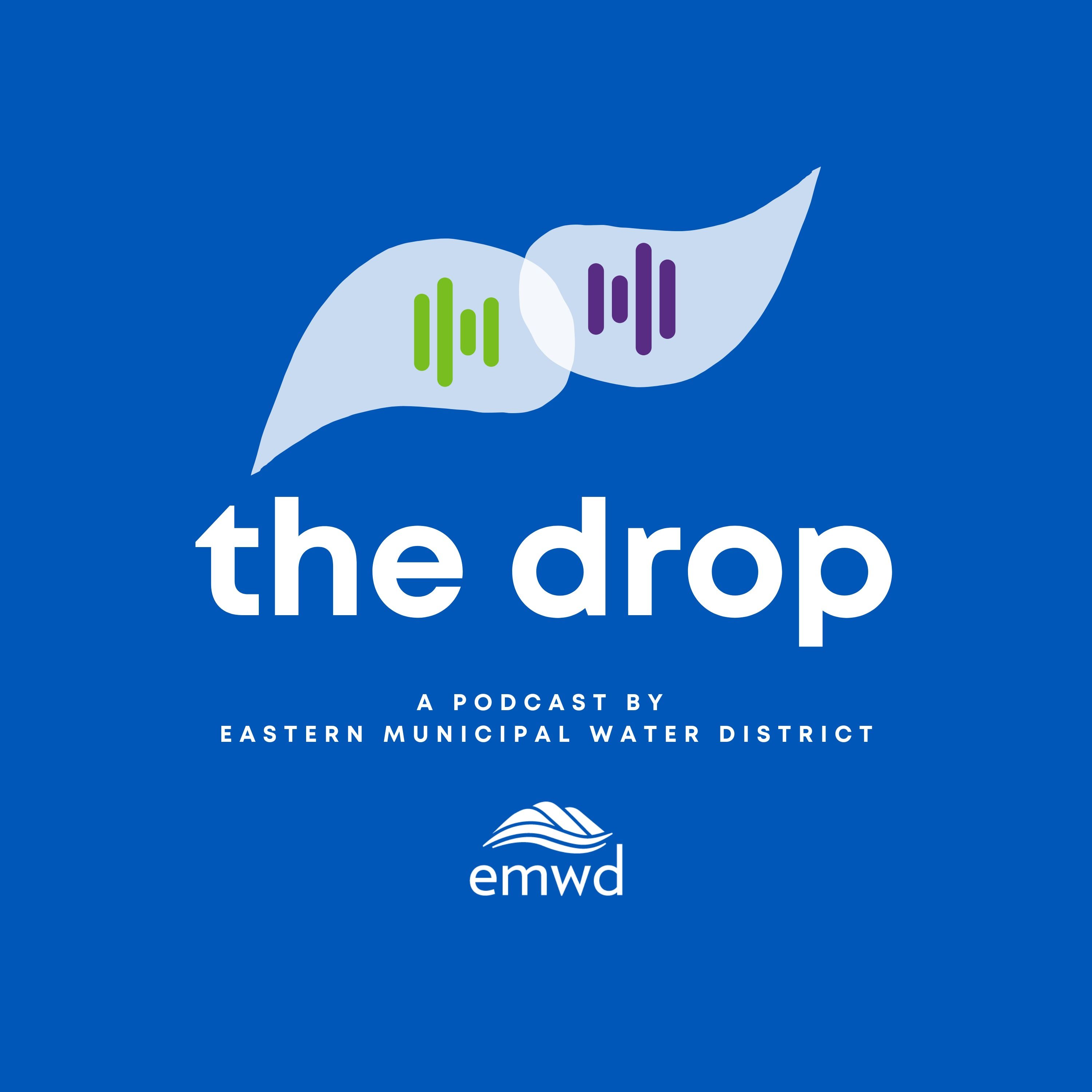 State of the District