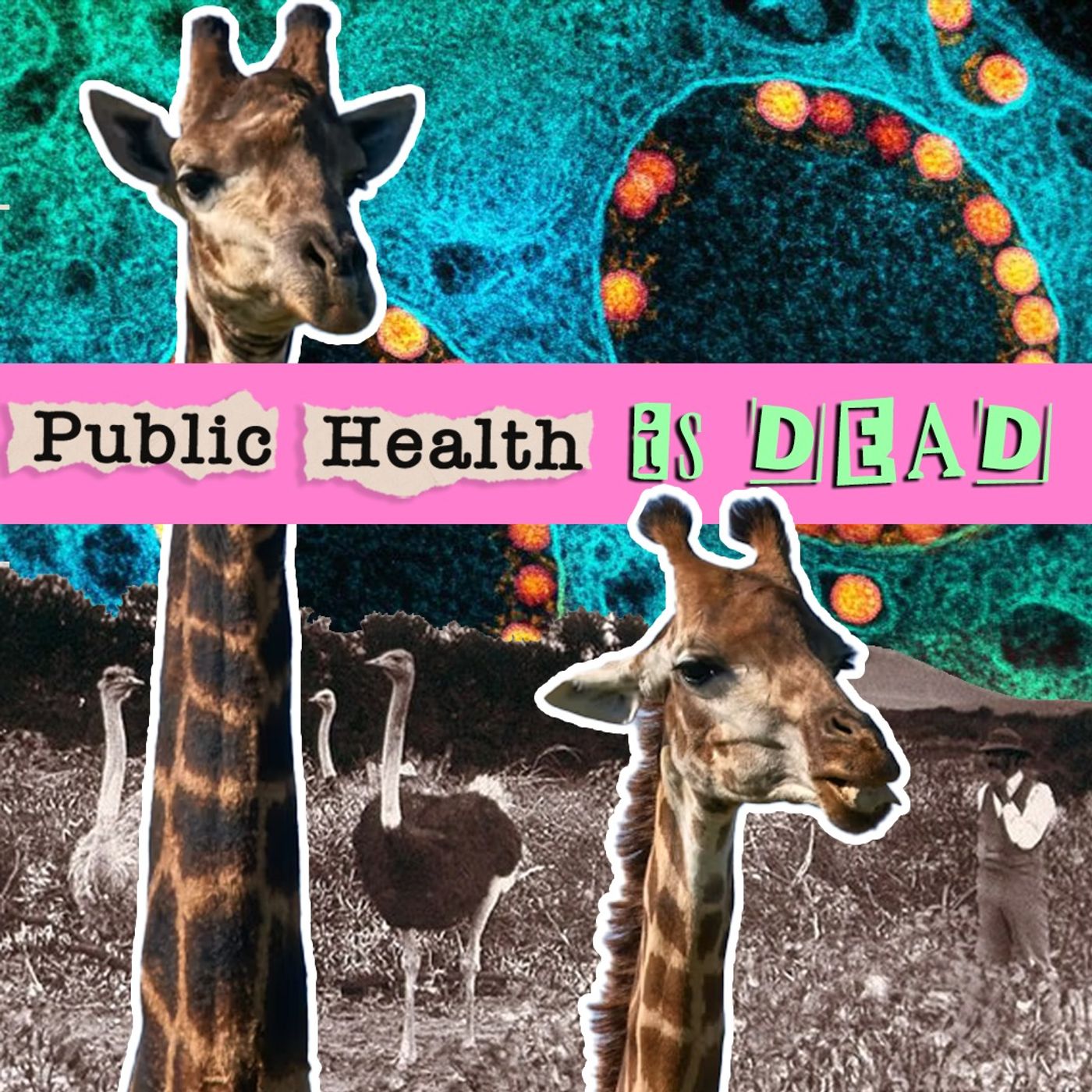 Legacies of Colonialism in Public Health