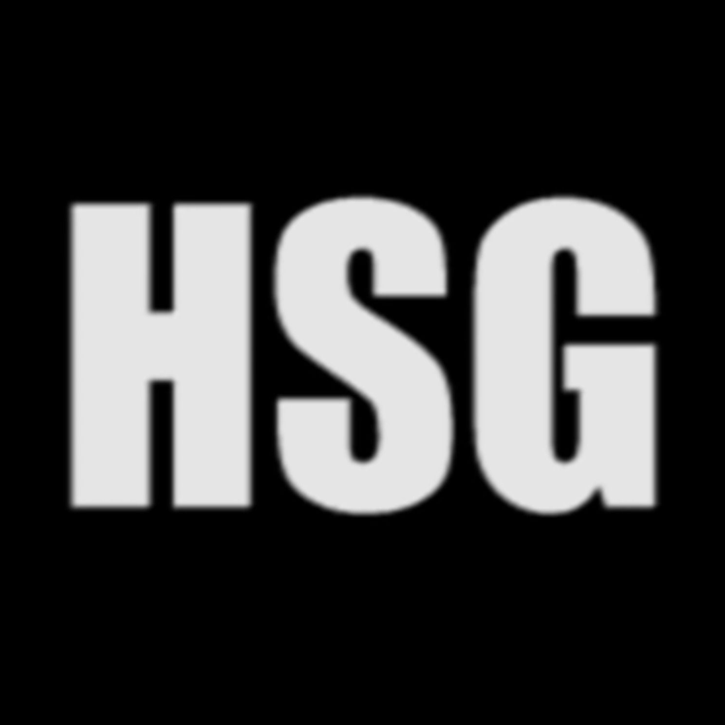 HSG FLAVOUR - HSG SONG 2.0 HSG FLAVOUR - HSG SONG 2.0