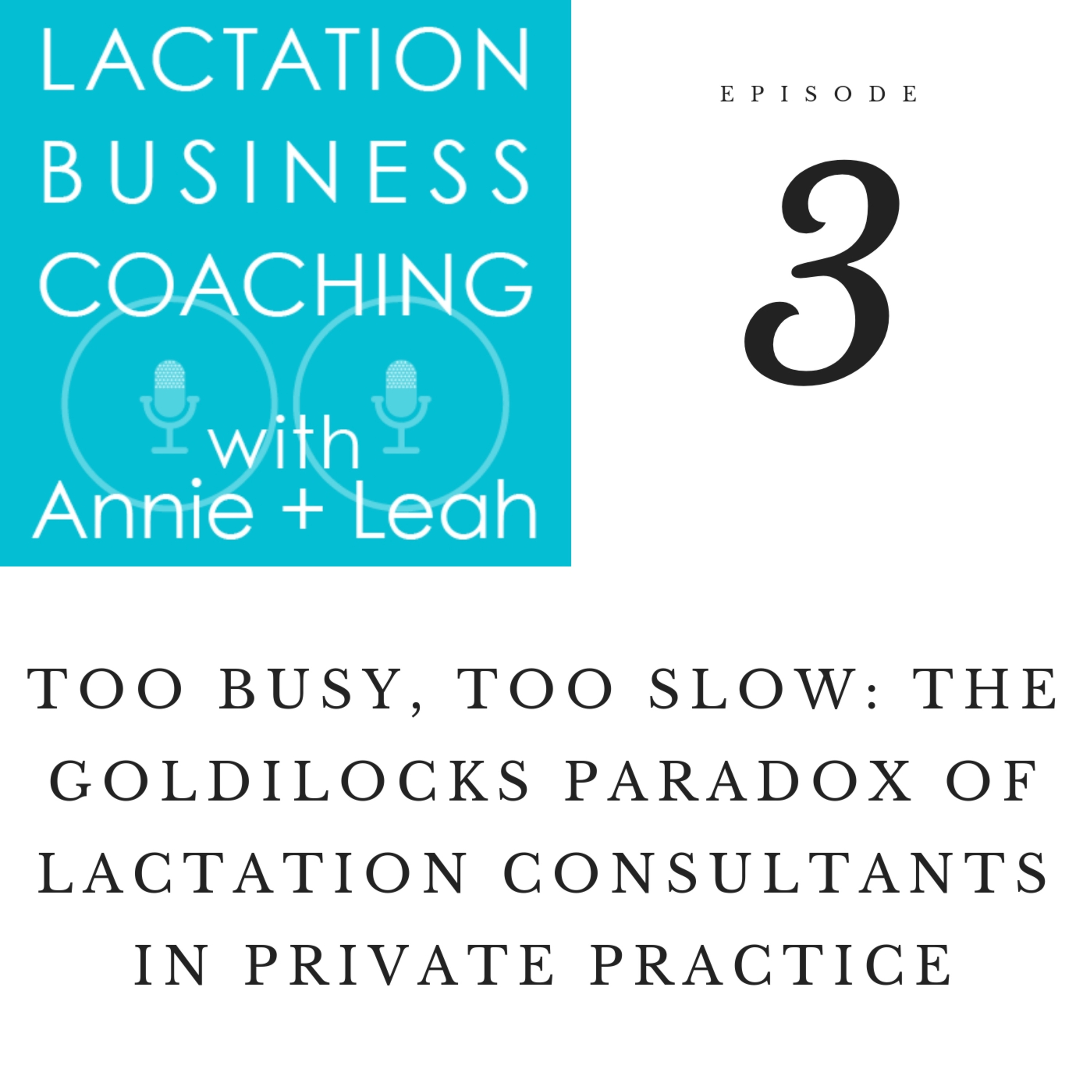 Lactation care plan template image