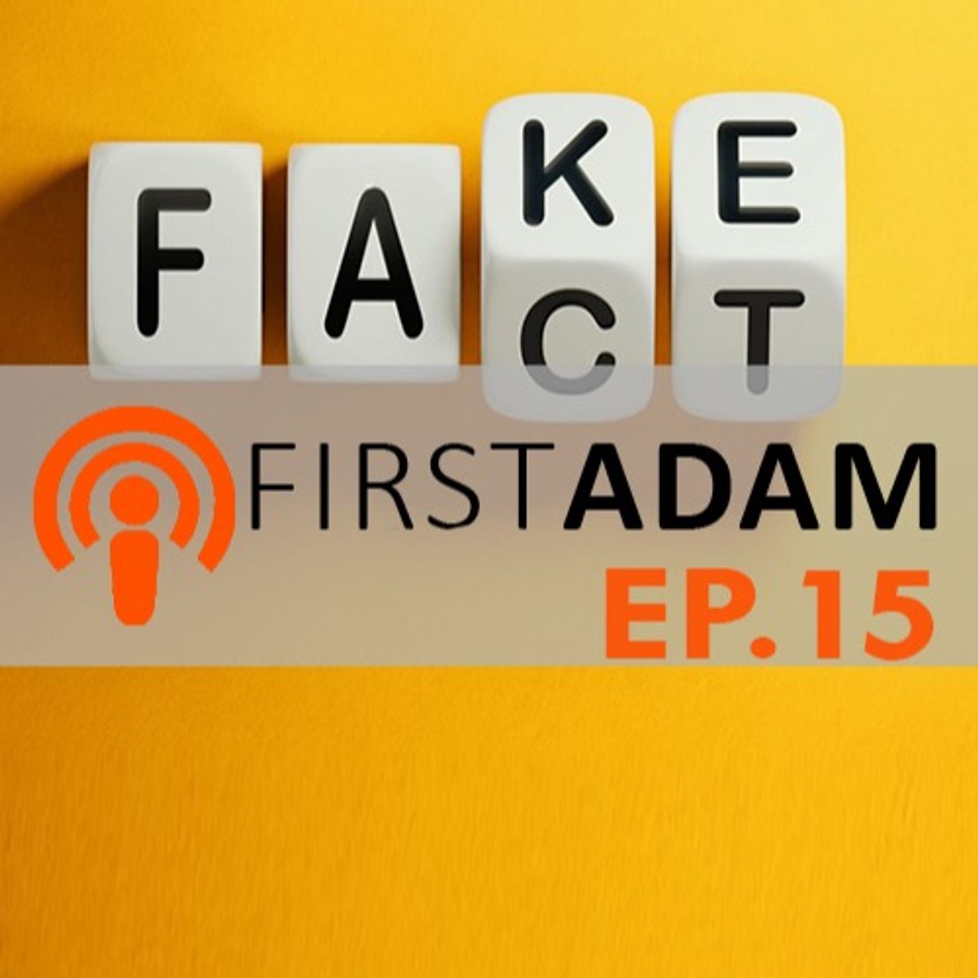 Fake or Fact episode artwork