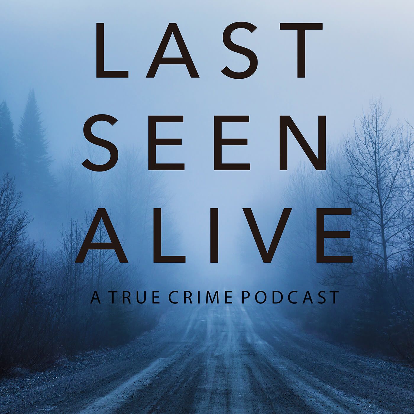 Unsolved Disappearance: Mike Hearon (Revisited Case)