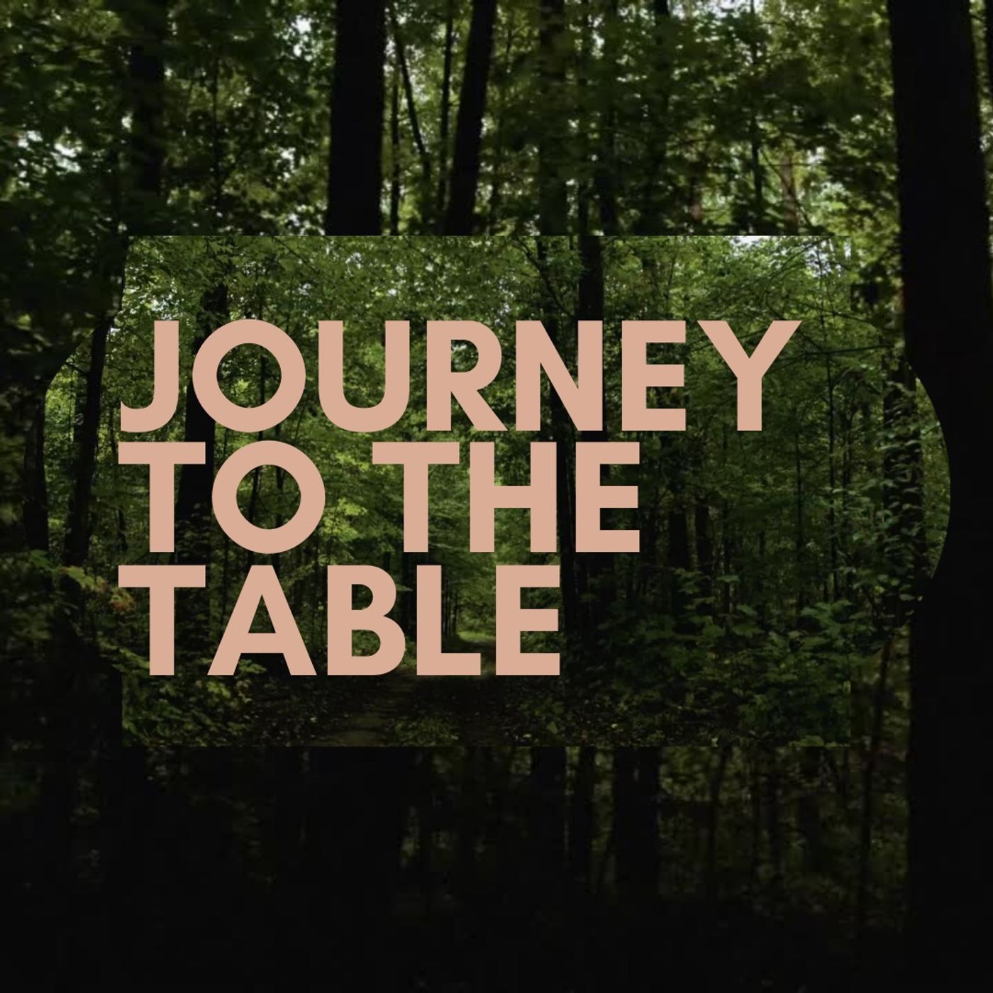 Journey to the Table: The Samaritan Woman Journey to the Table: The Samaritan Woman
