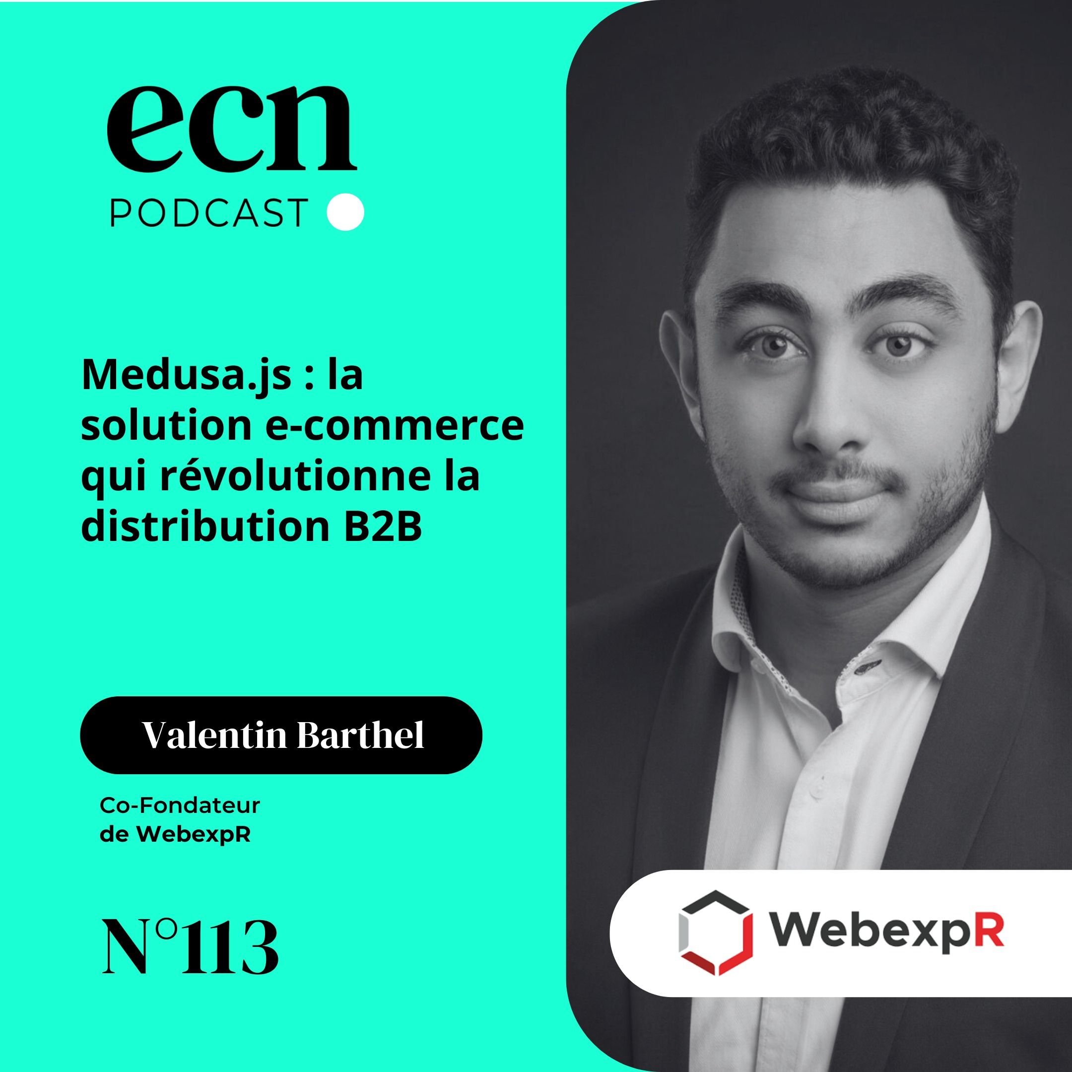 Medusa.js : la solution e-commerce qui révolutionne la distribution B2B - E-Commerce Nation